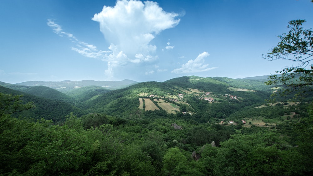 a scenic view of a valley surrounded by trees