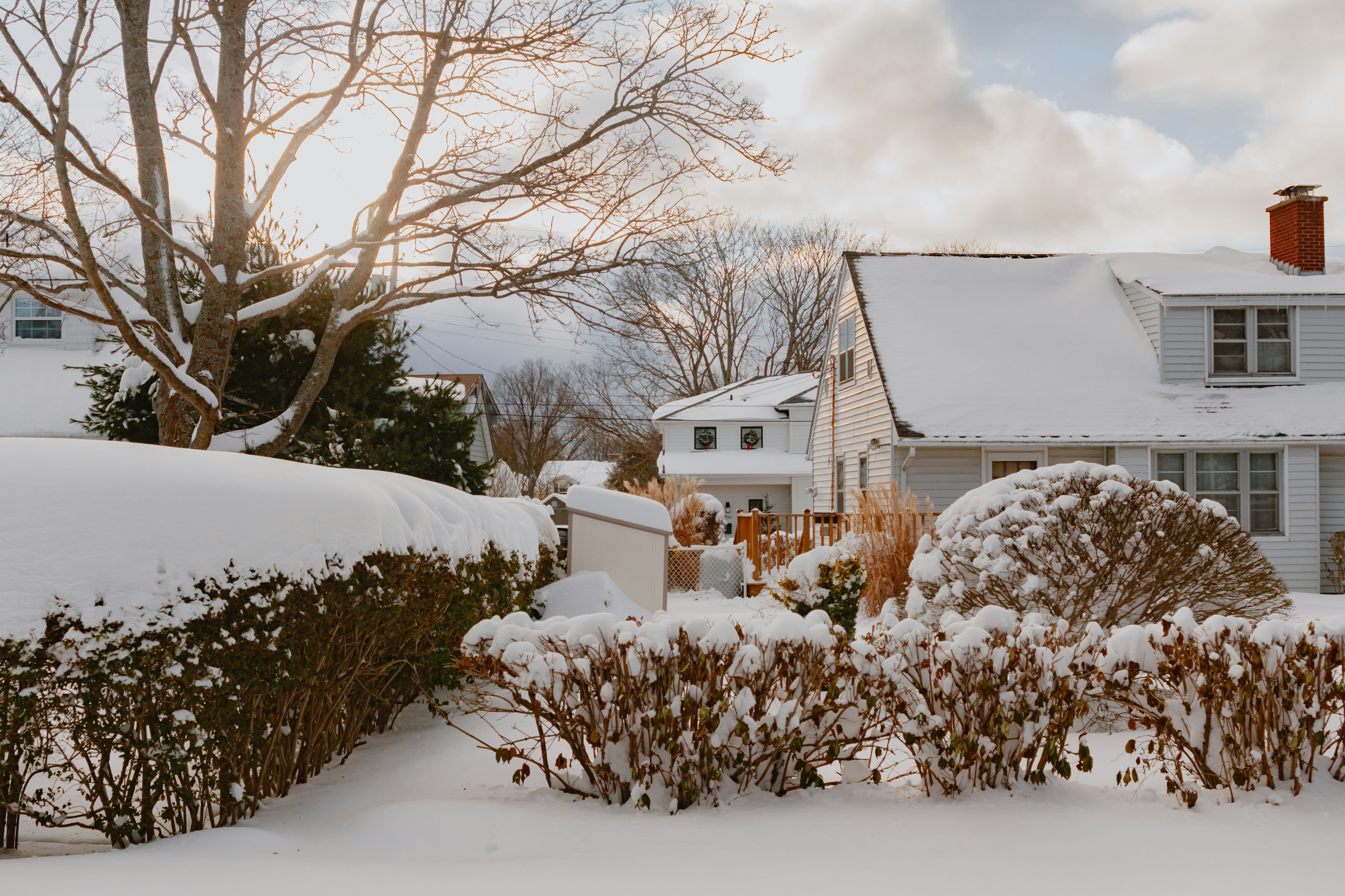 a house covered in snow next to a bush
