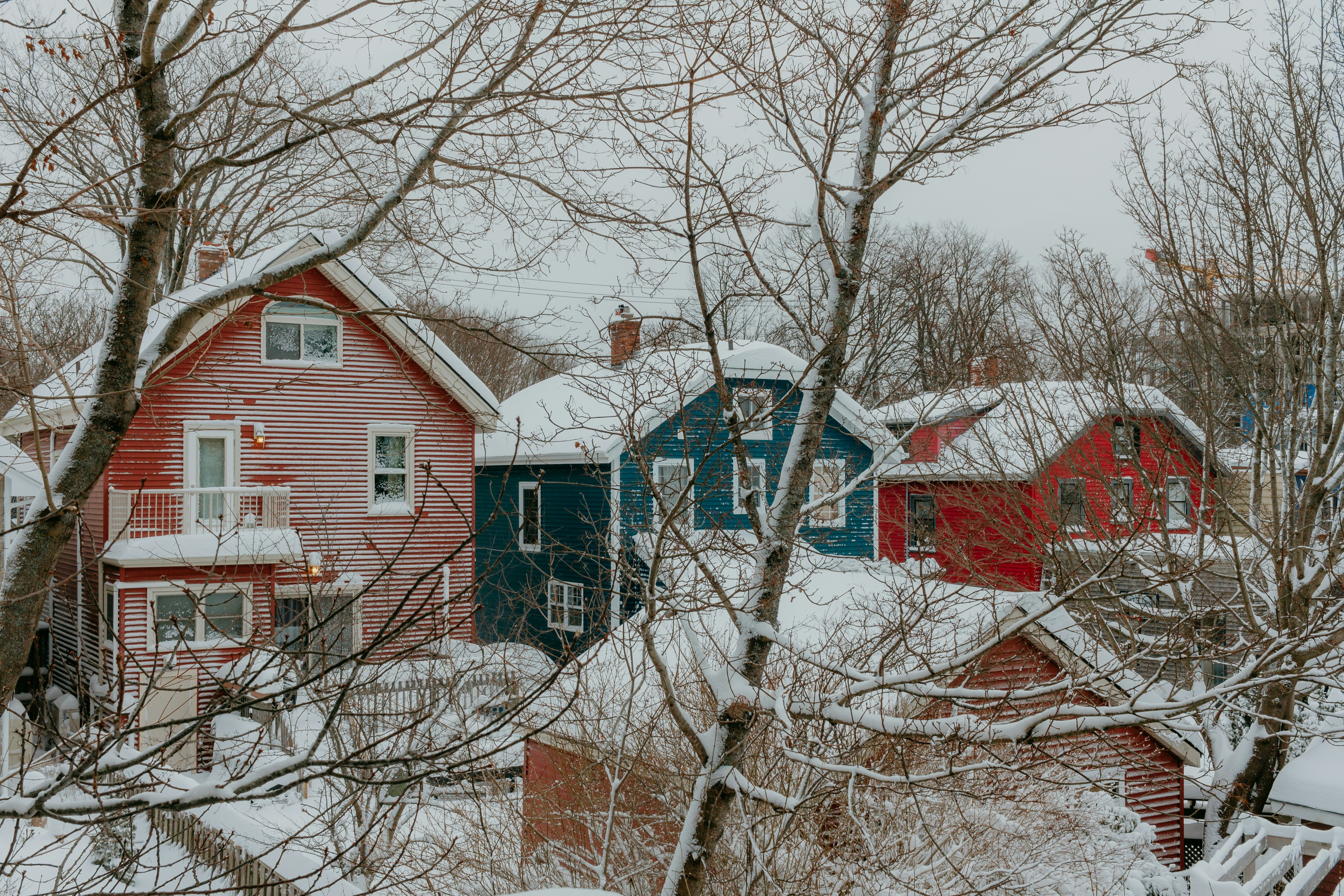 a group of houses covered in snow next to trees