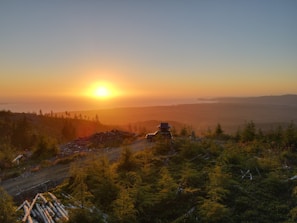 A breathtaking sunset over a forested landscape, with a vehicle parked near a dirt road surrounded by trees and logs. The sky is painted in warm hues of orange and yellow as the sun sets in the horizon, casting a golden glow over the scene.