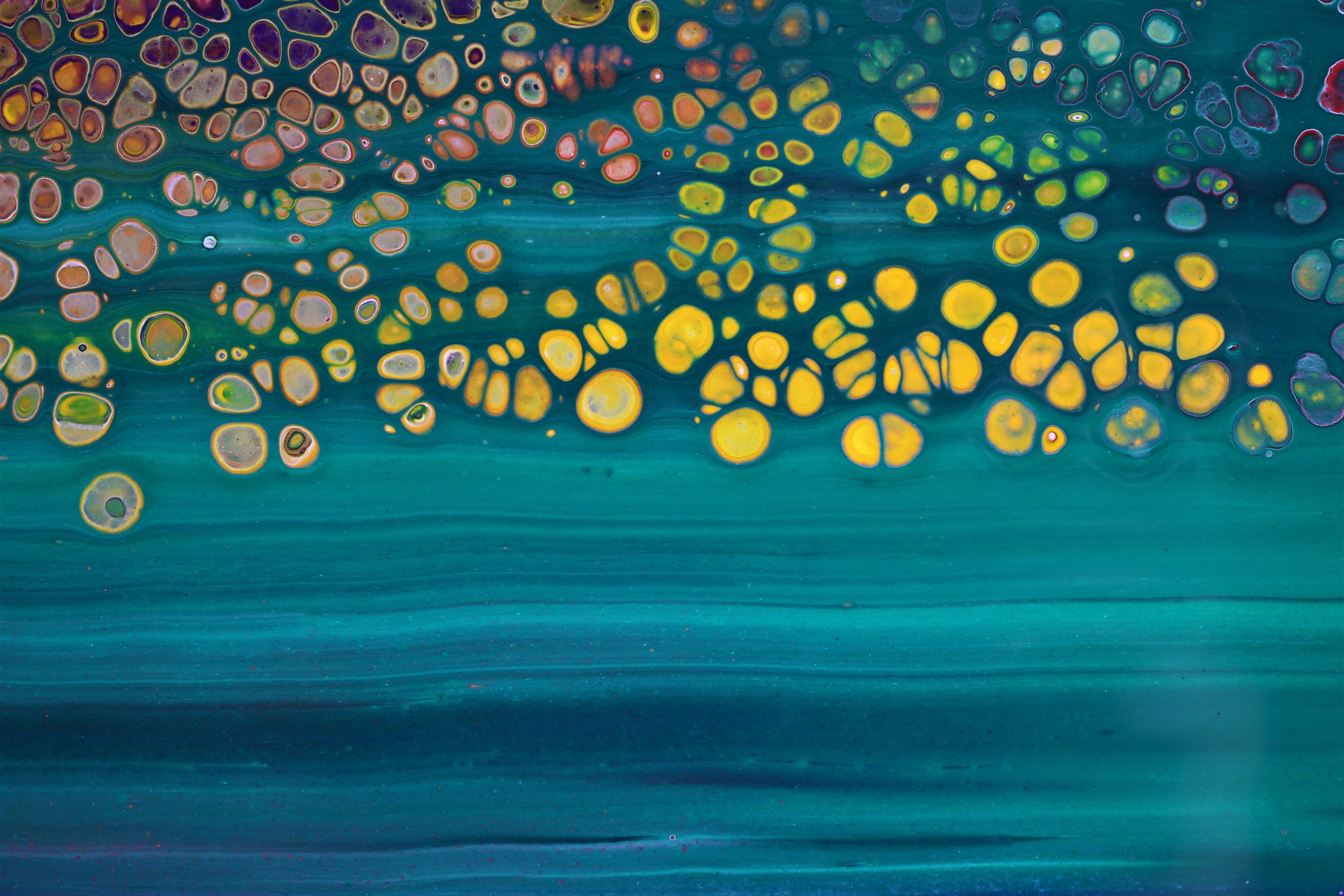 Photo by susan_wilkinson