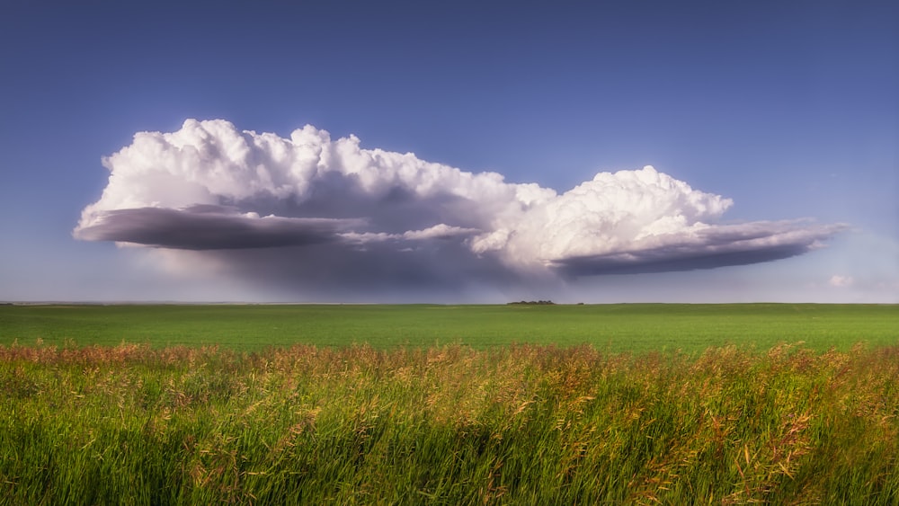 a large cloud looms over a green field