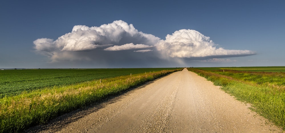 a dirt road in the middle of a green field