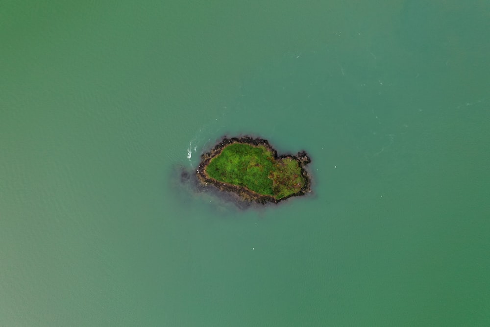 a small island in the middle of a body of water