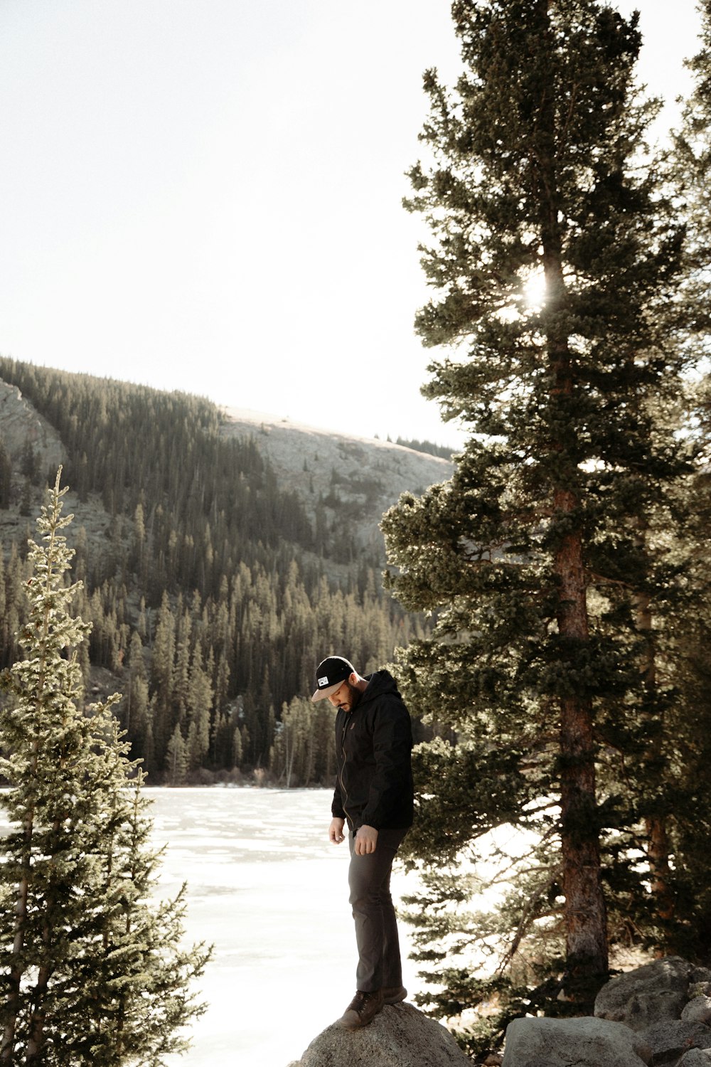 a man standing on top of a rock next to a forest