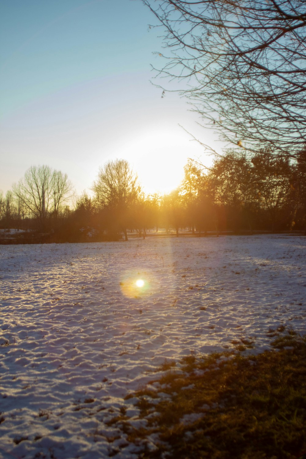 El sol se está poniendo sobre un campo nevado