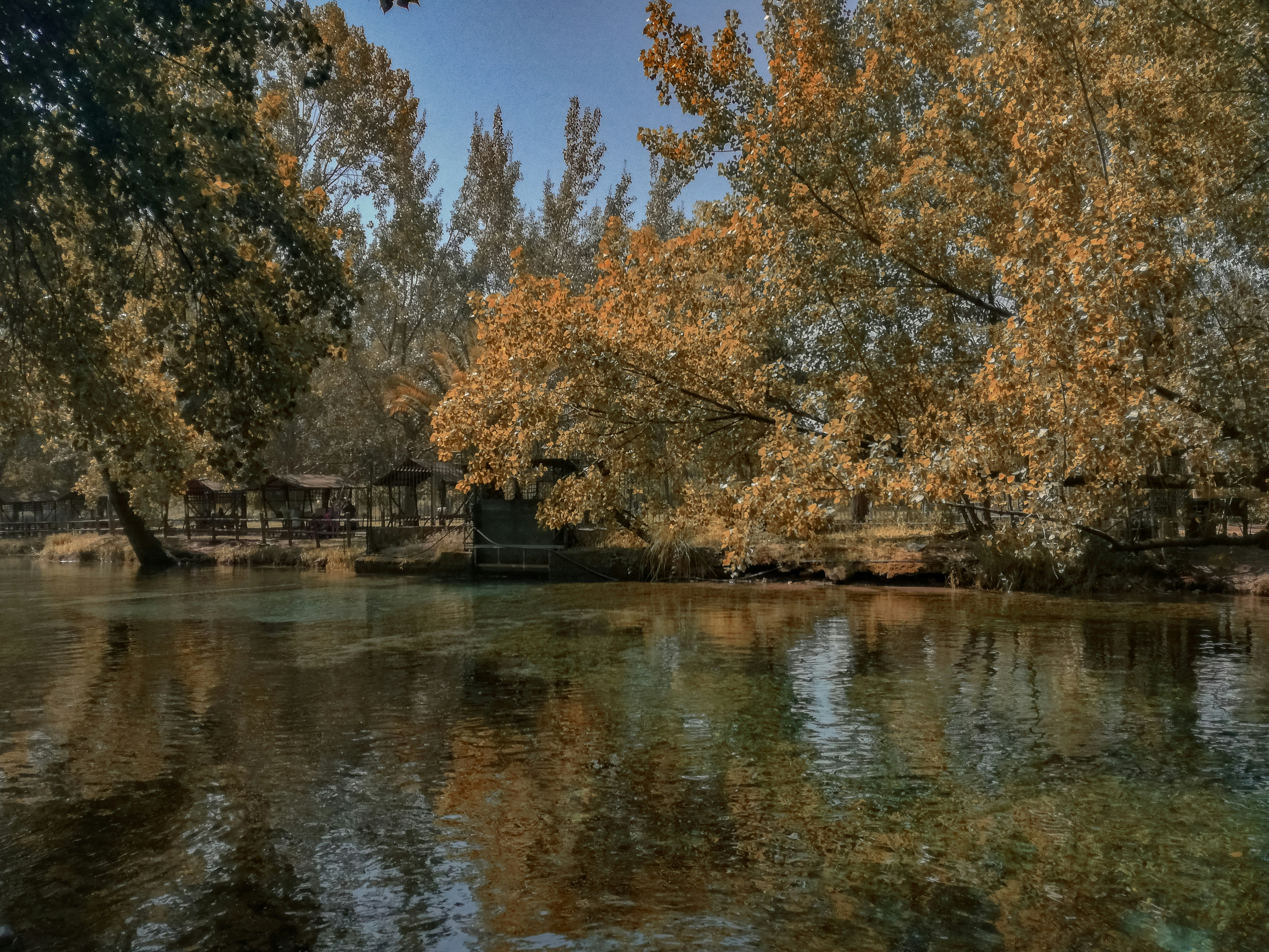a body of water surrounded by trees