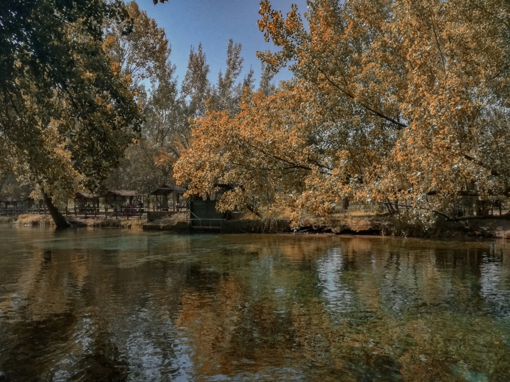 a body of water surrounded by trees