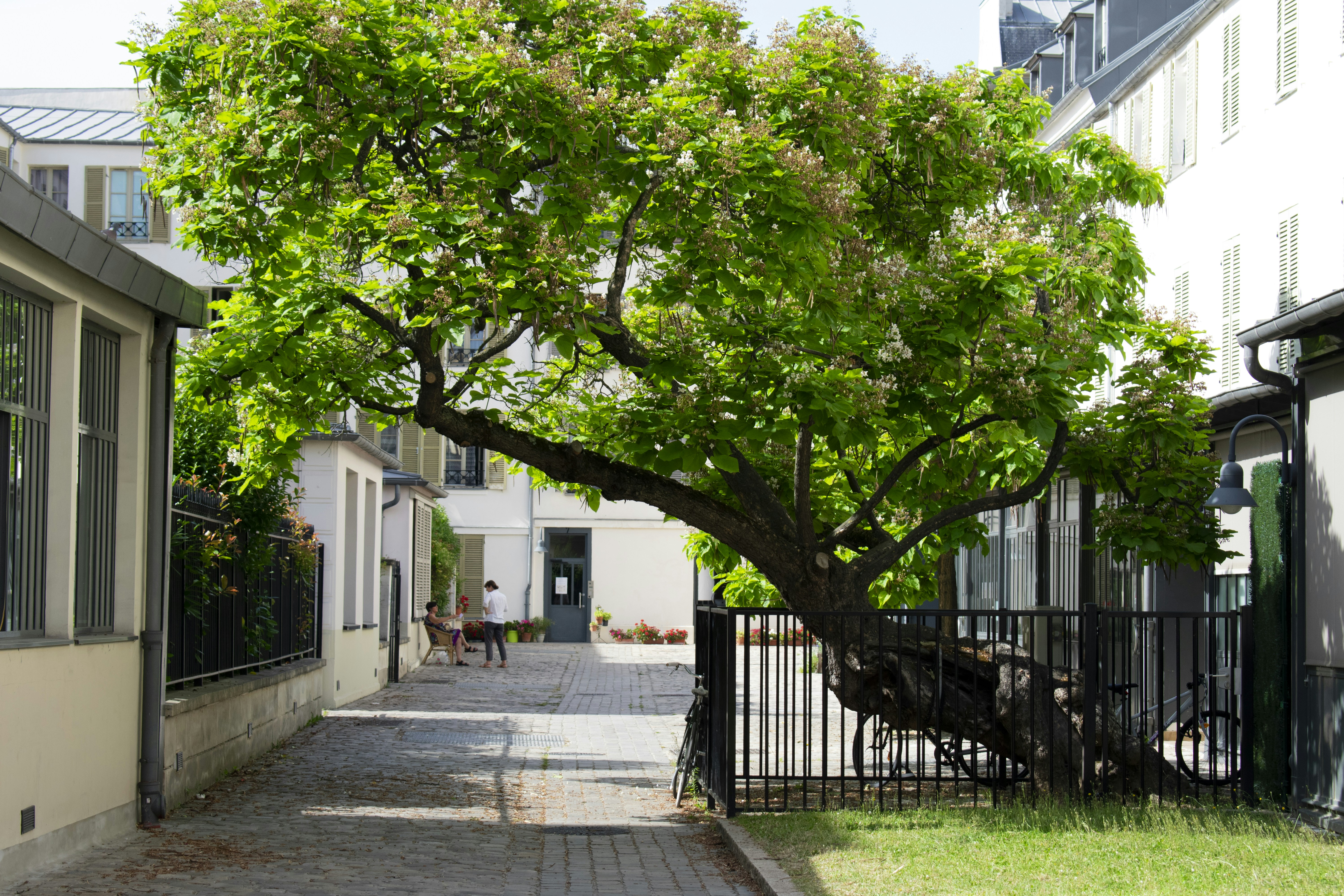 Photo by brechtcorbeel