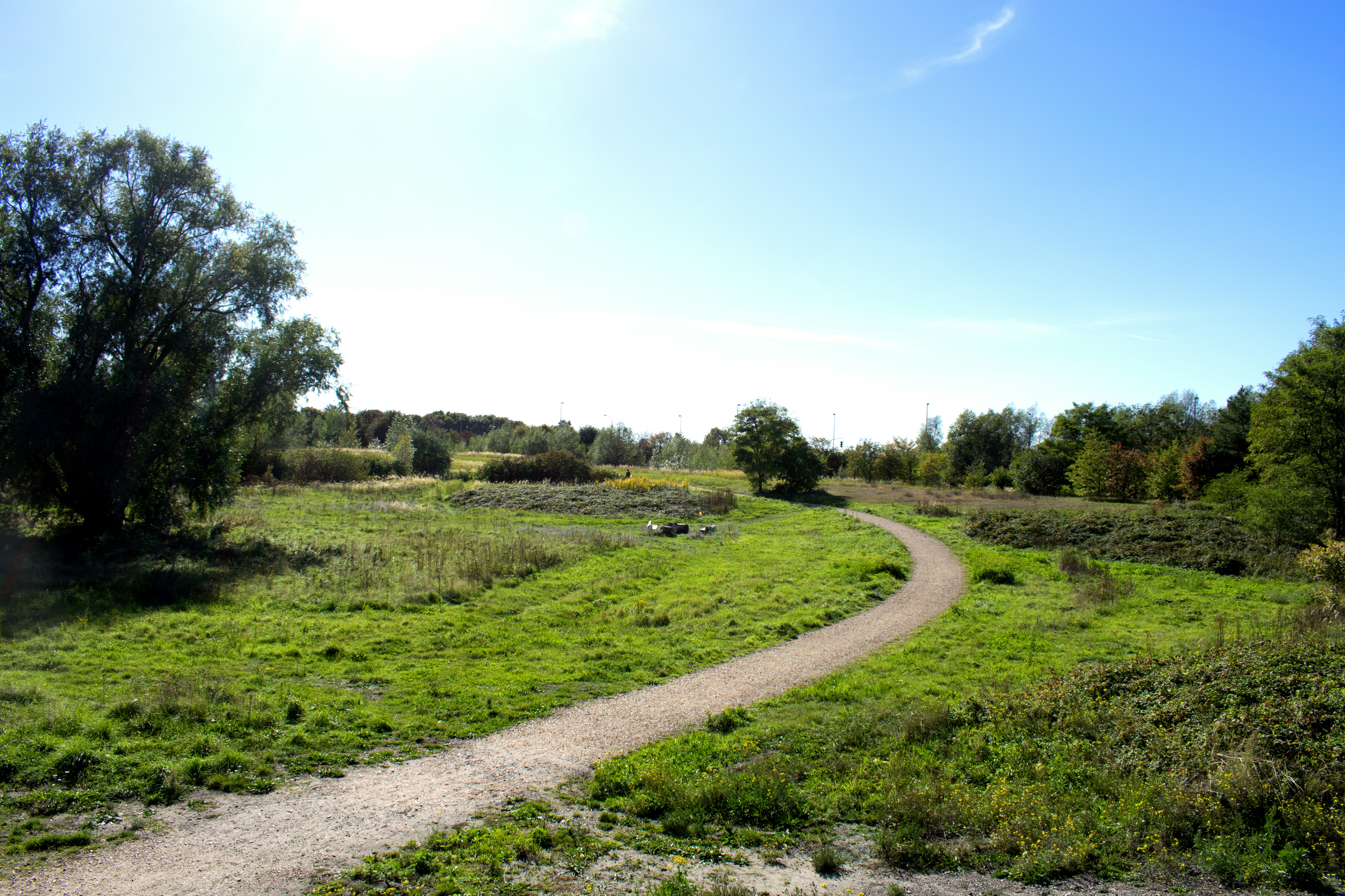 Photo by brechtcorbeel