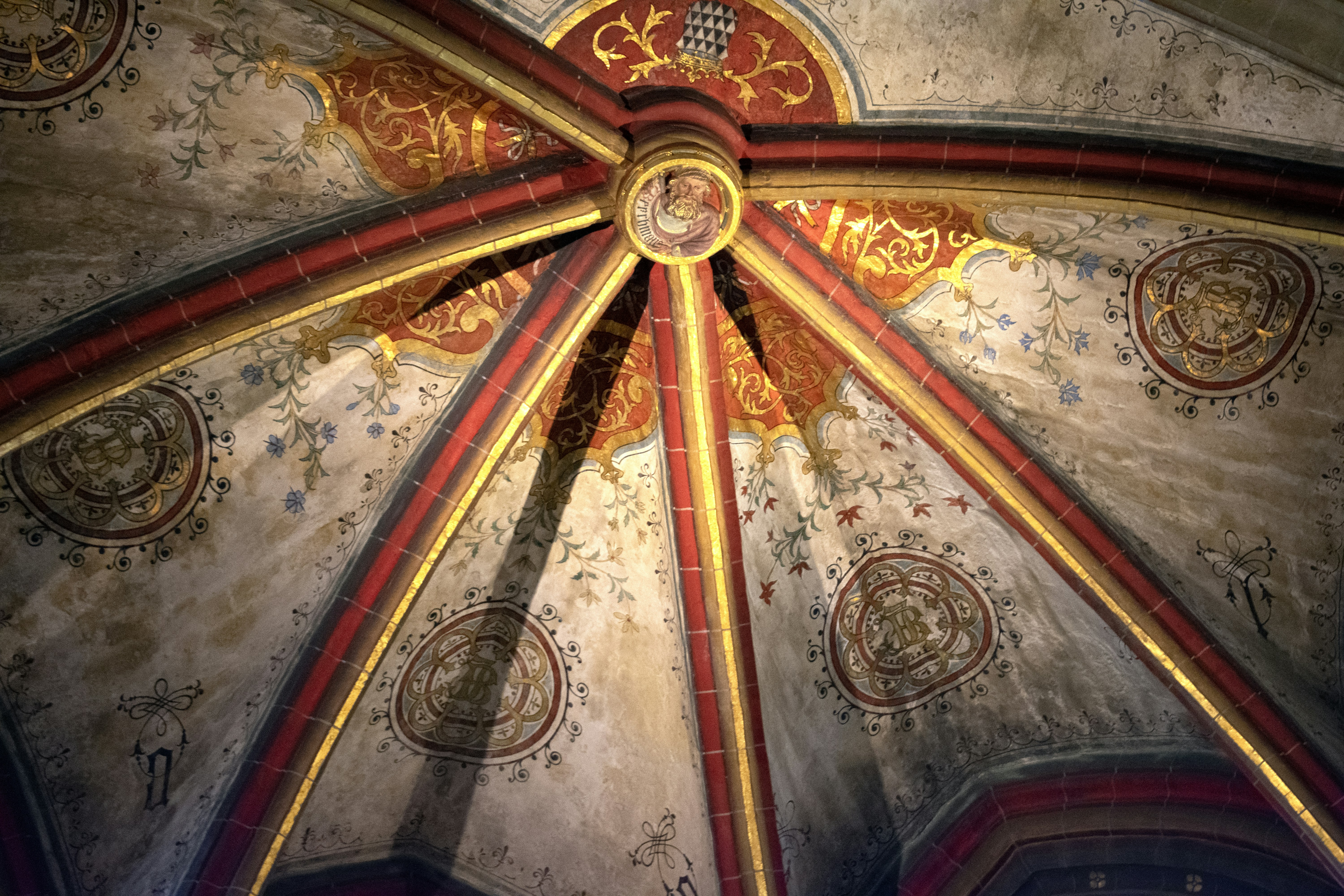 Photo by brechtcorbeel