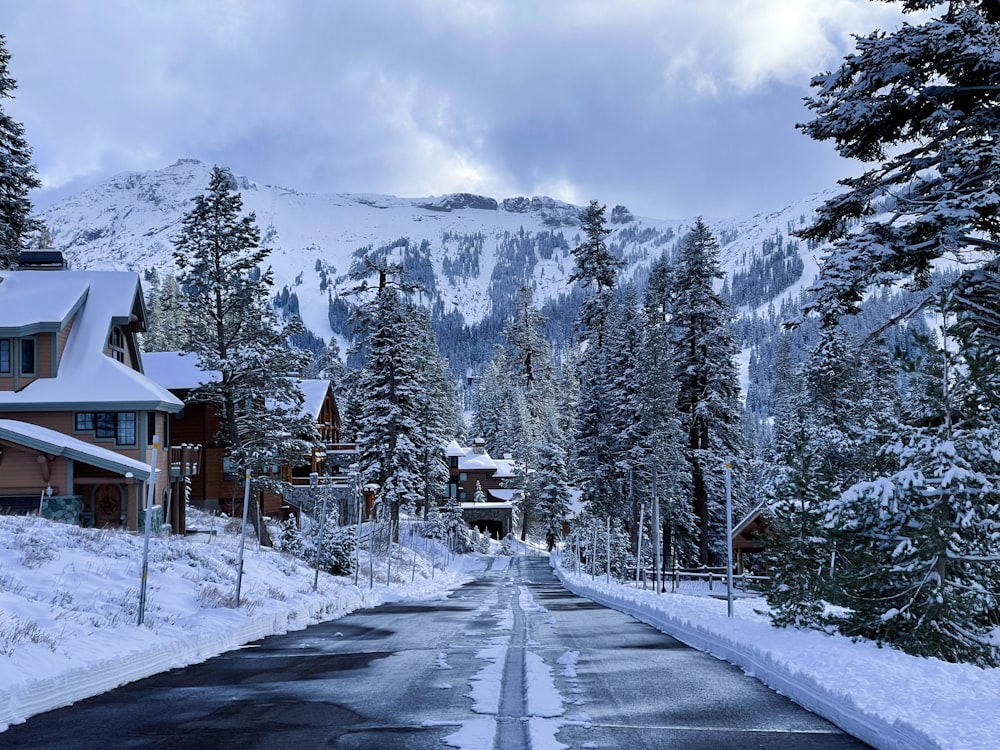 a road with a snow covered mountain in the background