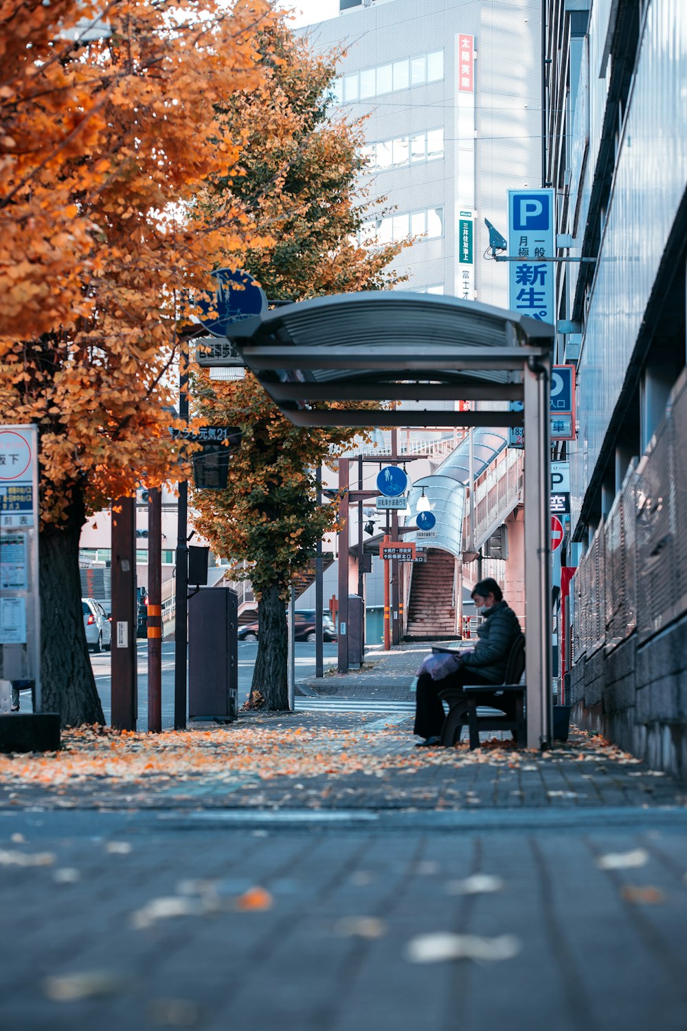 a man sitting on a bench next to a tree