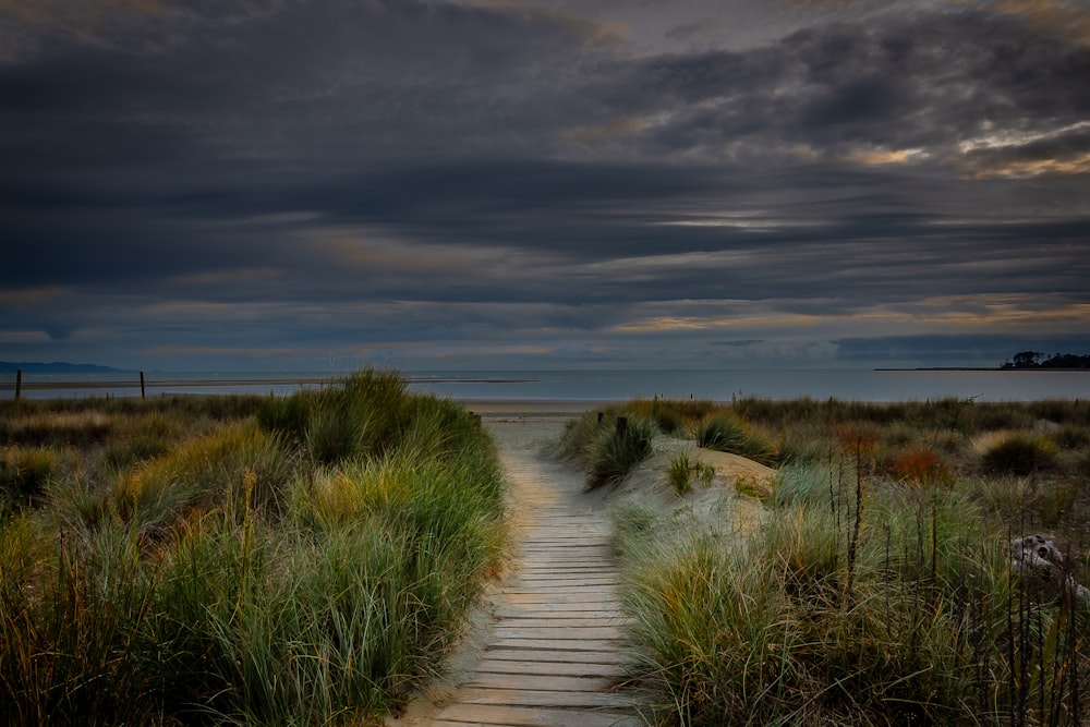 a path leading to the ocean with a cloudy sky in the background