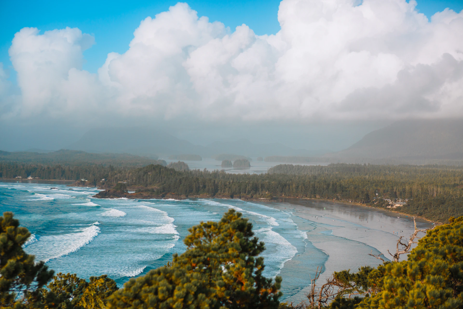 a view of the ocean from a hill