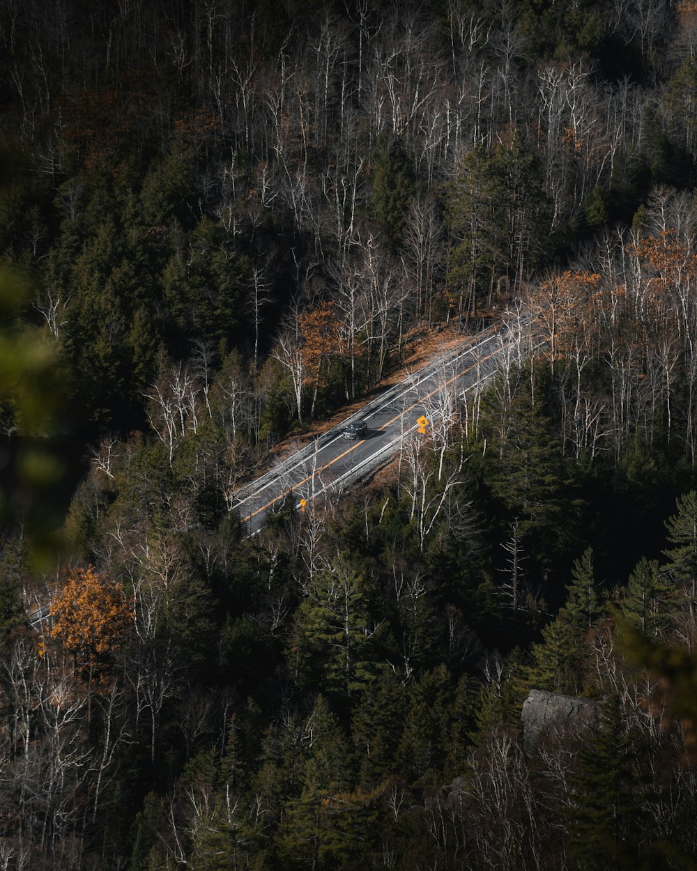 an aerial view of a road surrounded by trees