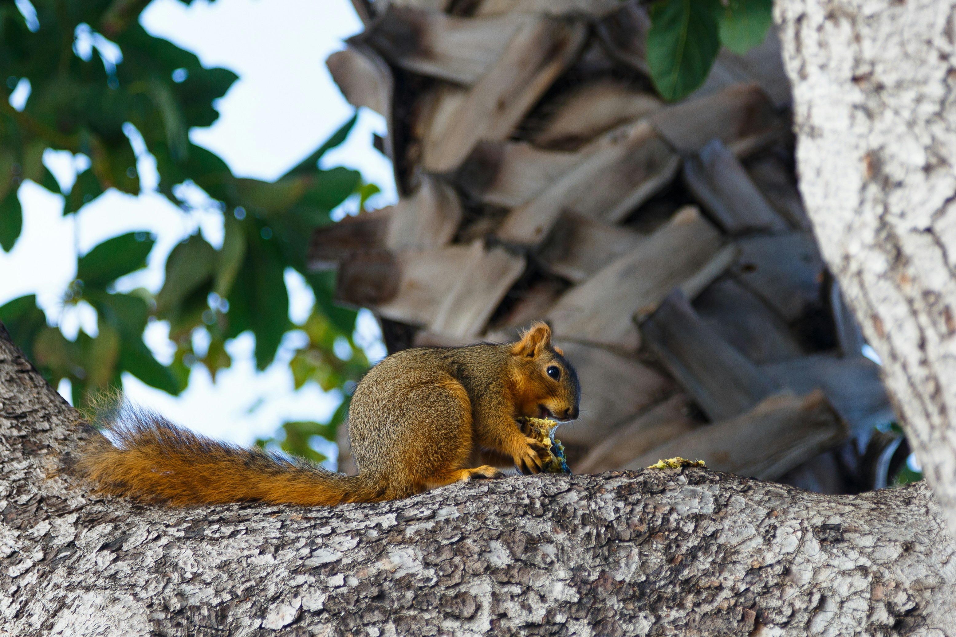 Photo by alien_roger