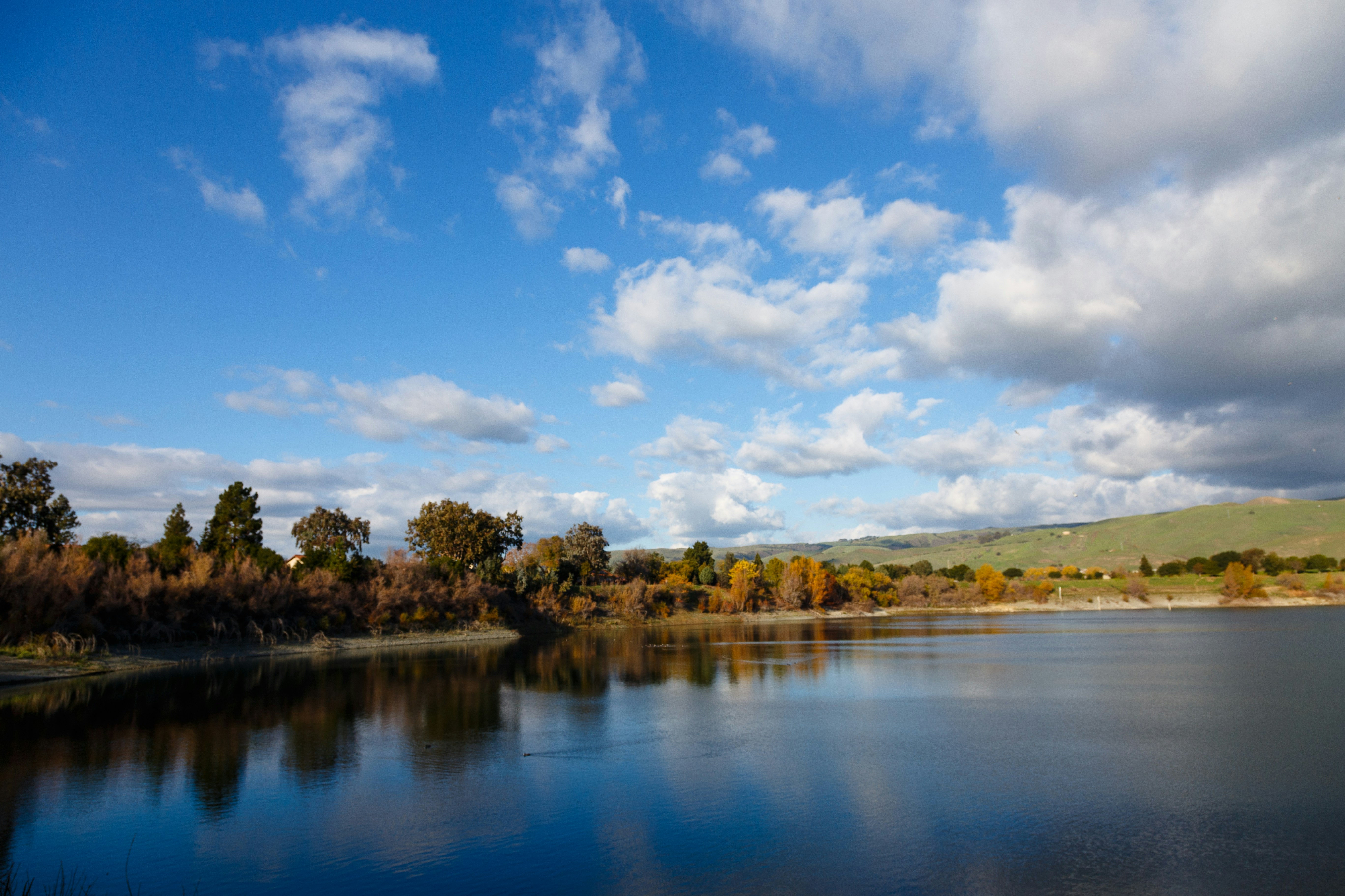 Photo by alien_roger