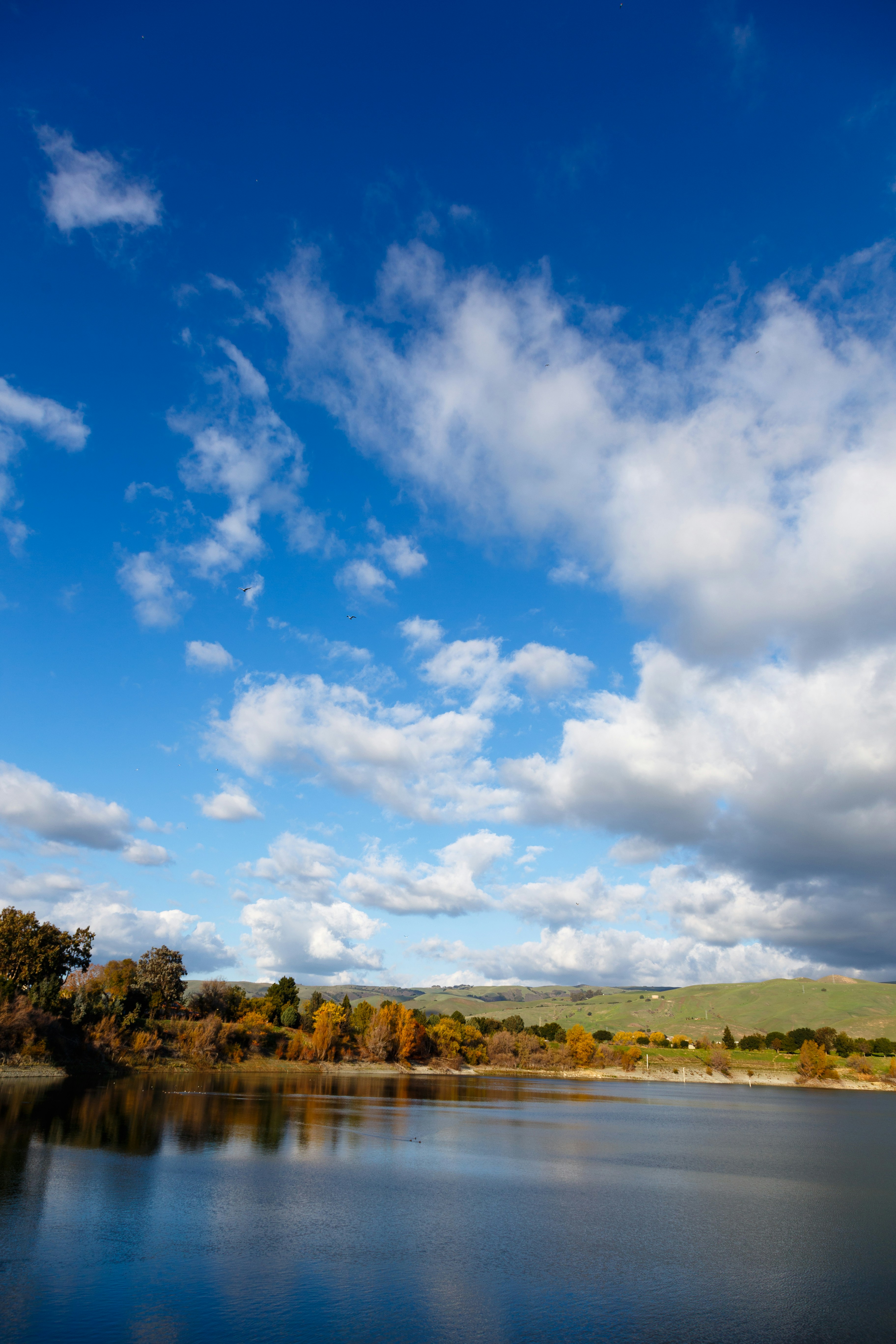 Photo by alien_roger