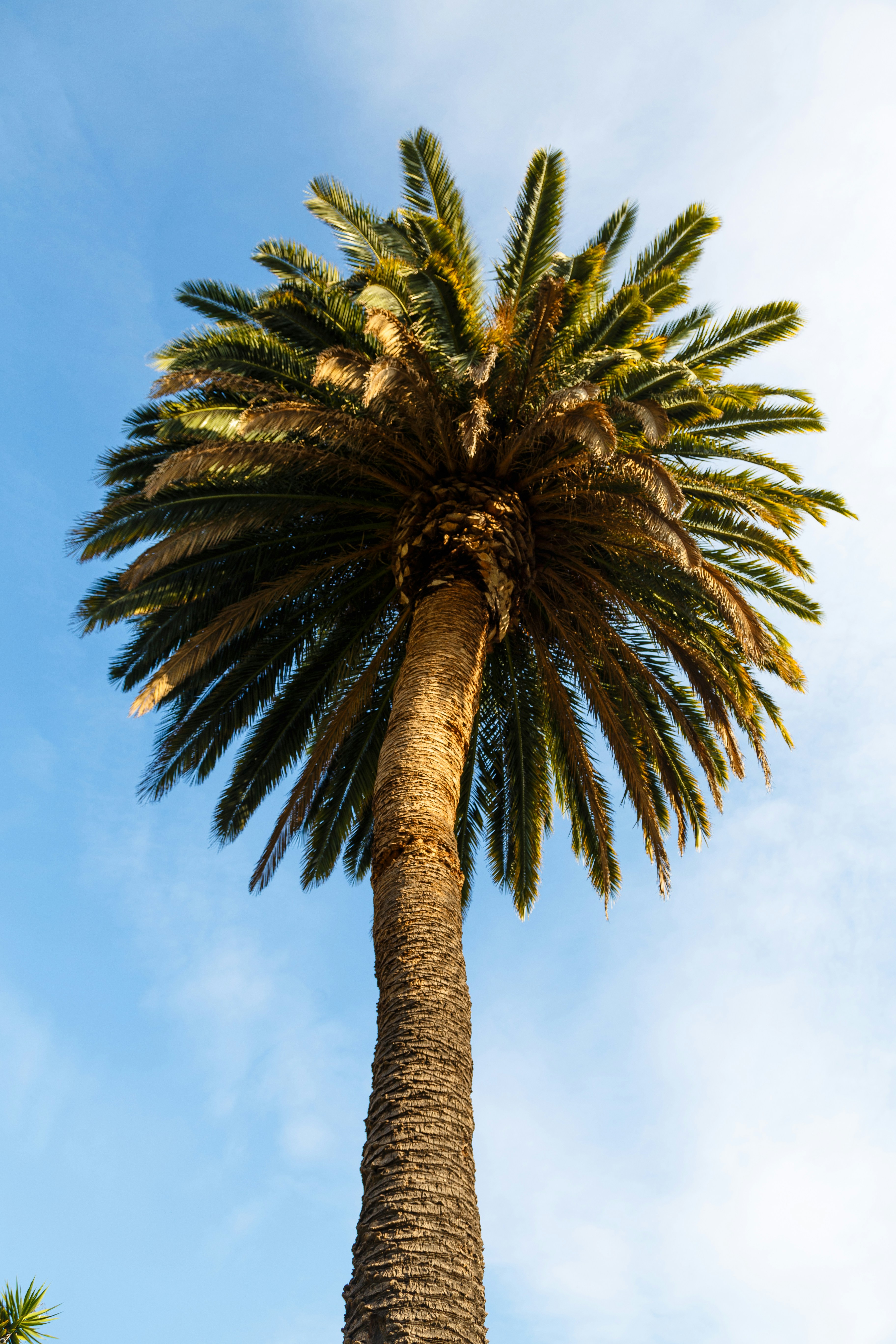 Photo by alien_roger