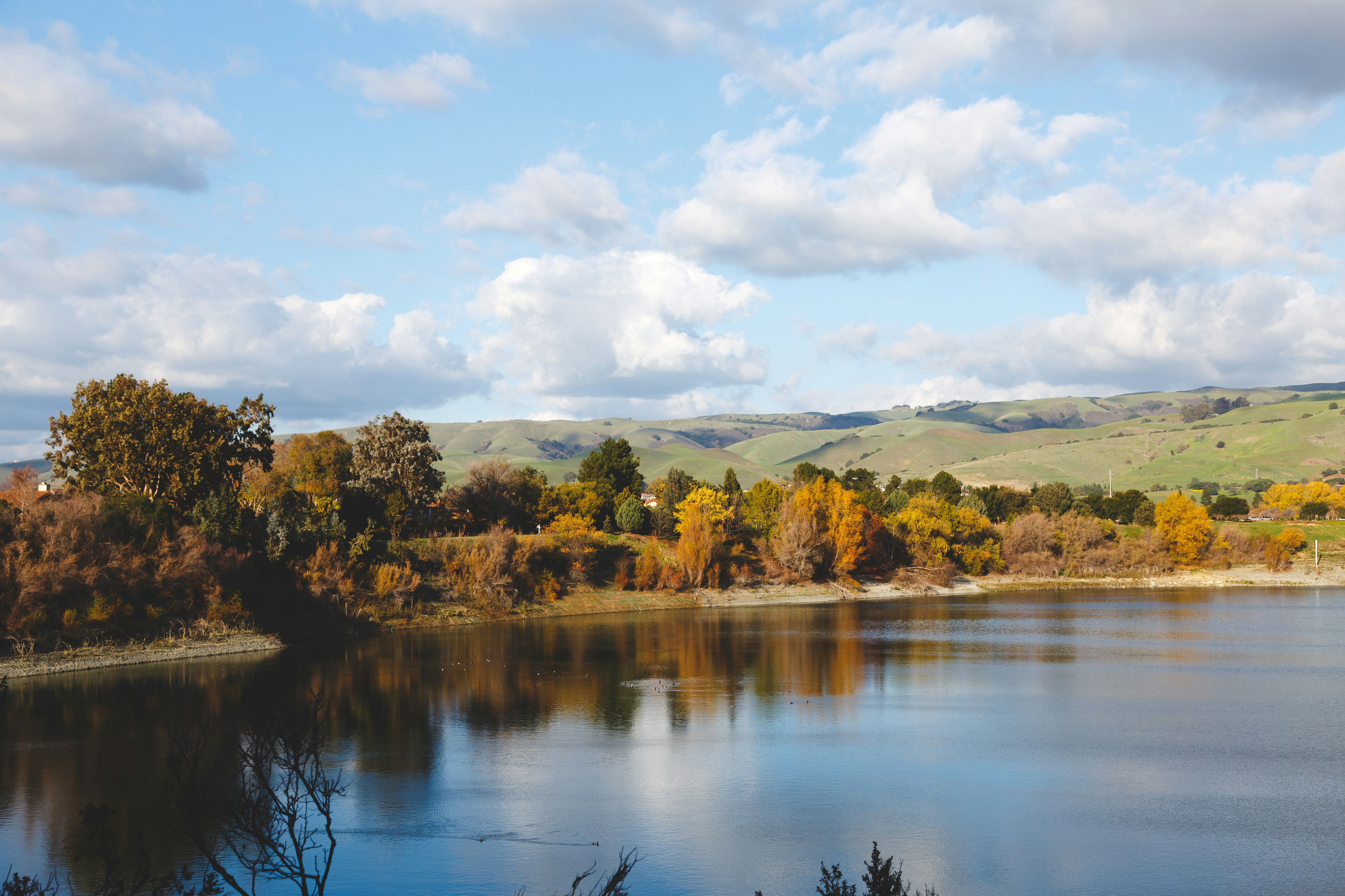 Photo by alien_roger