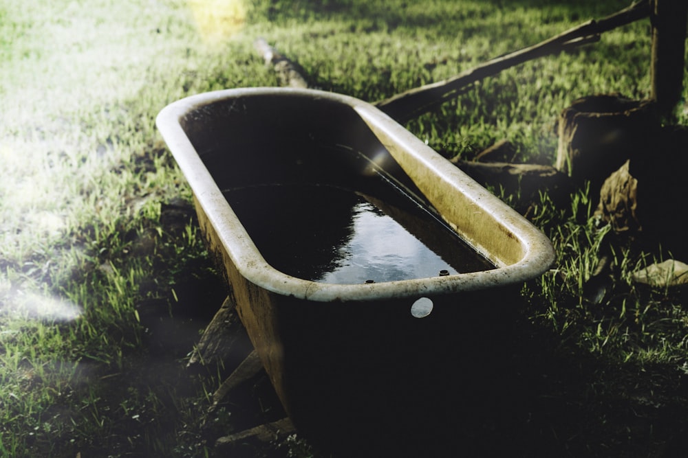 a bathtub sitting in the grass next to a tree