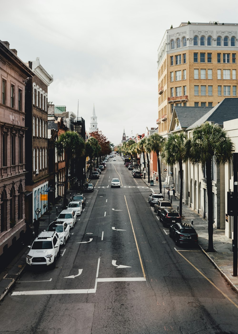 a city street lined with tall buildings and palm trees