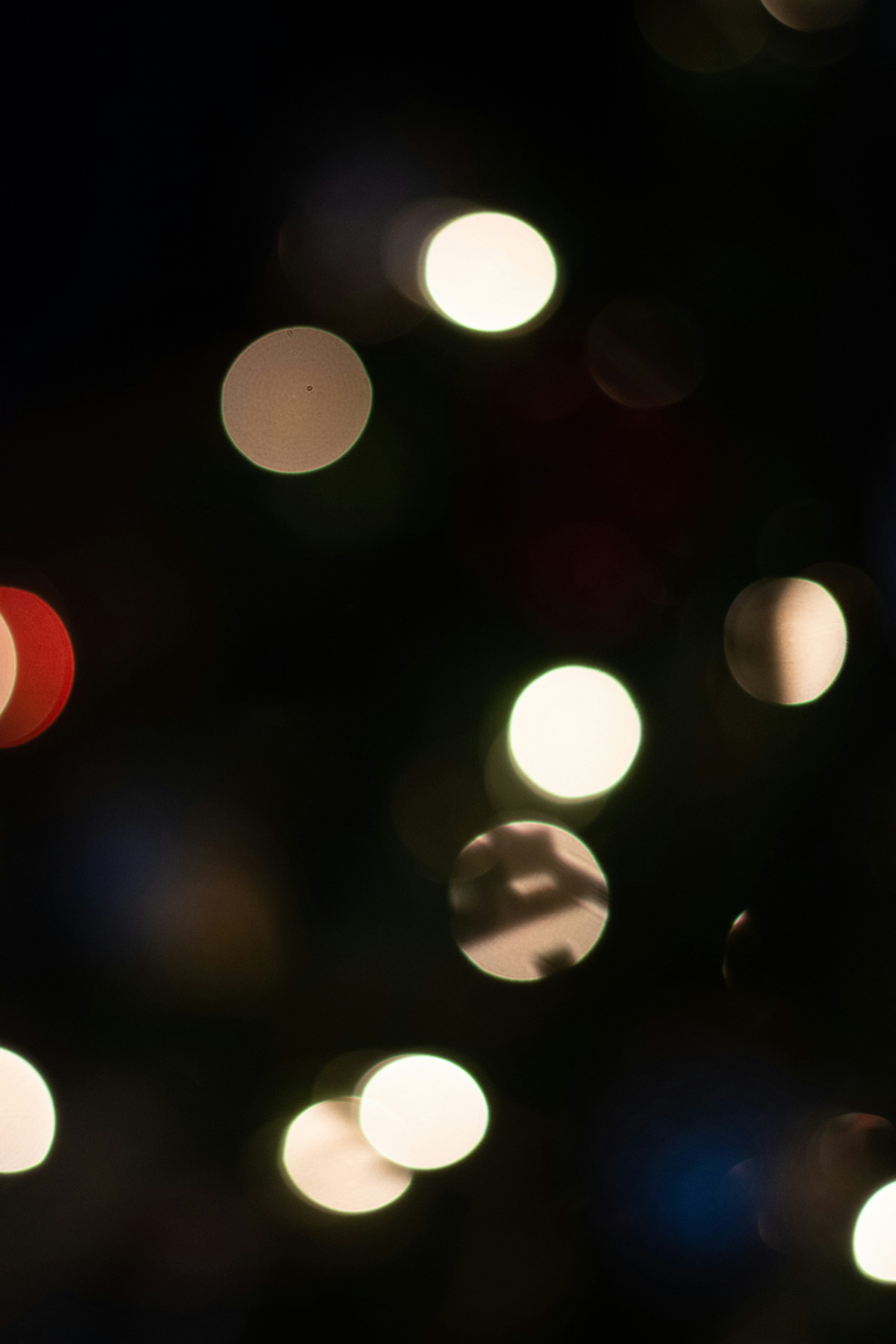 Photo by caseyconnell