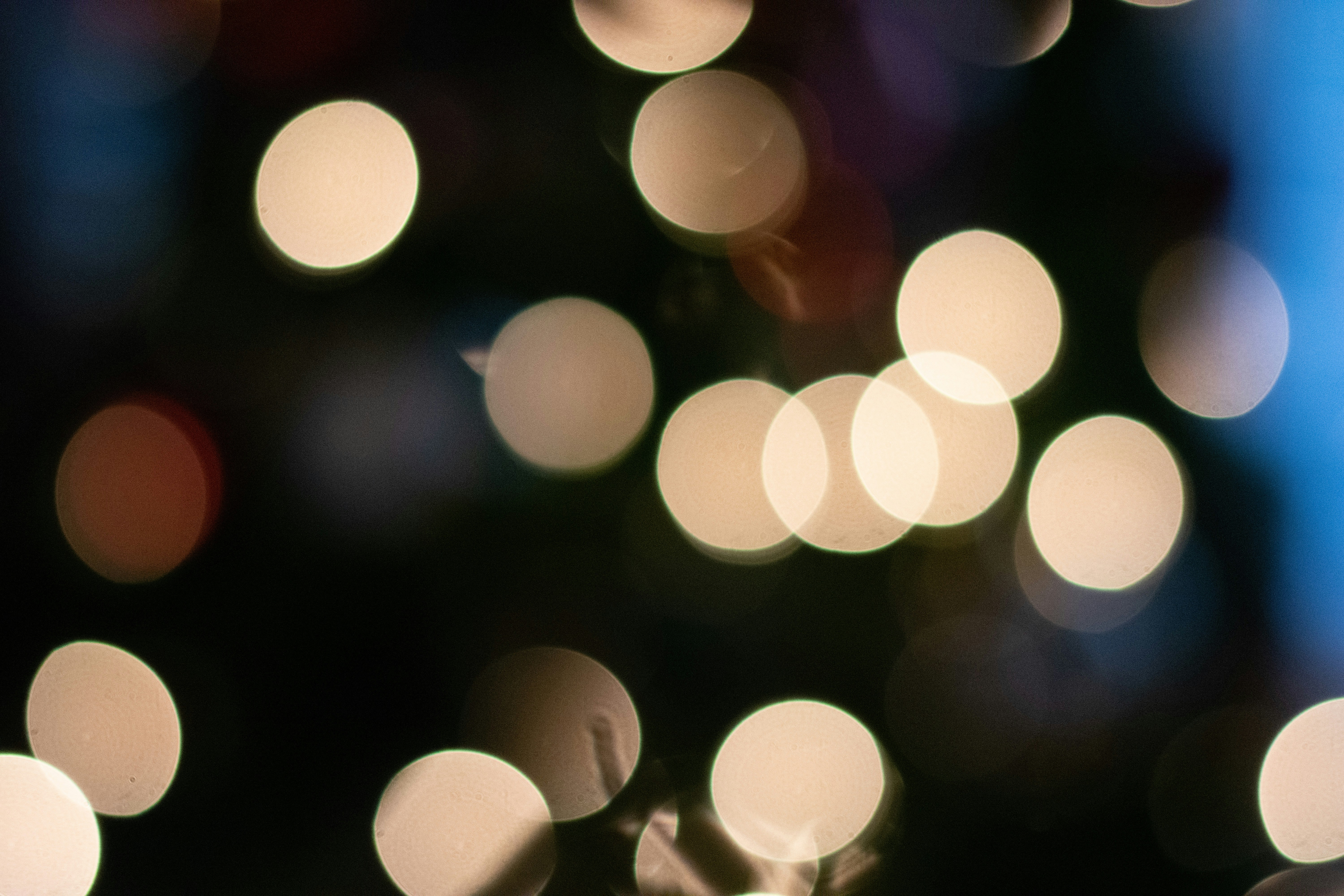 Photo by caseyconnell