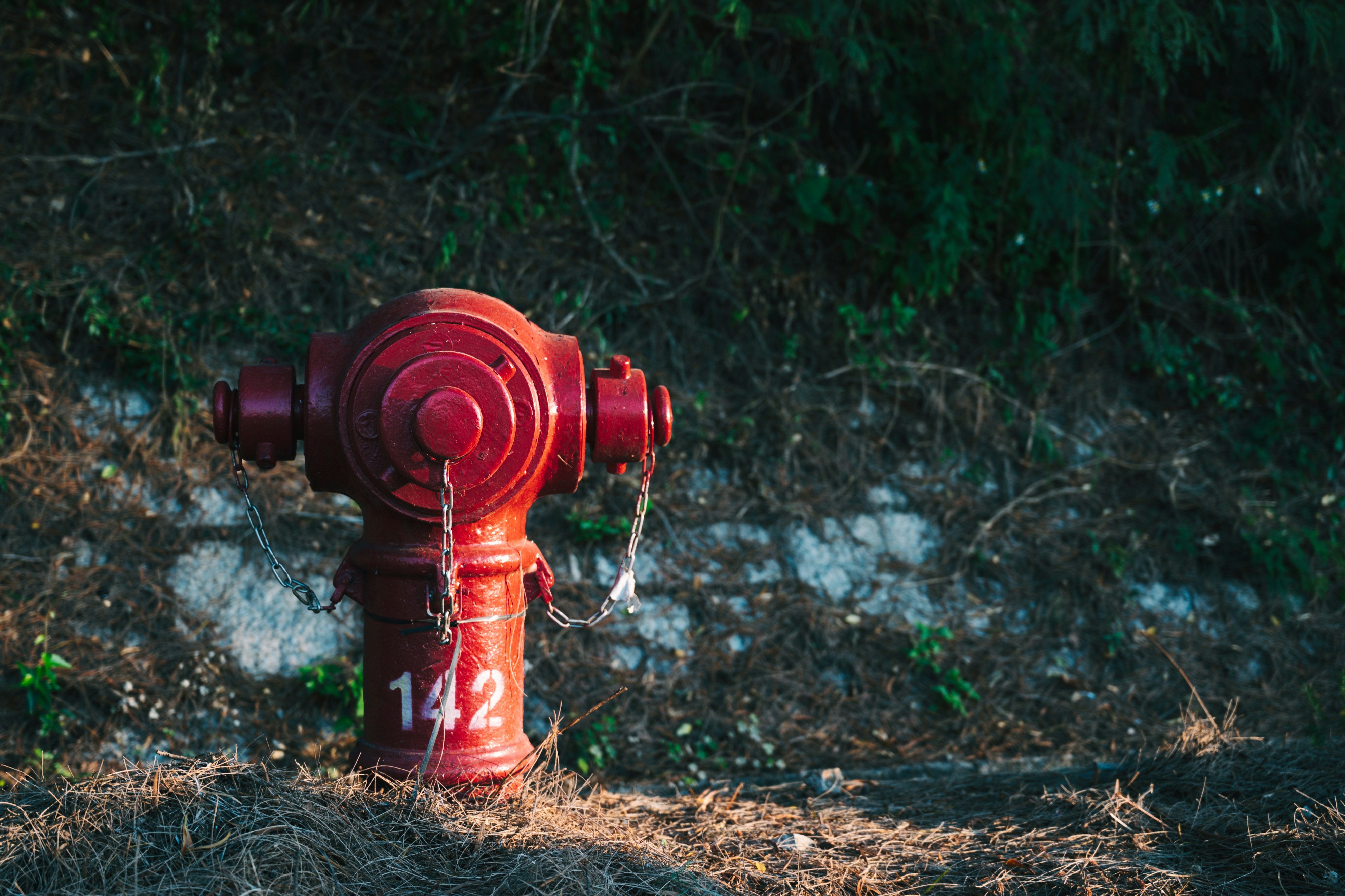 From Text to Token: Unraveling the Magic Behind AI Understanding