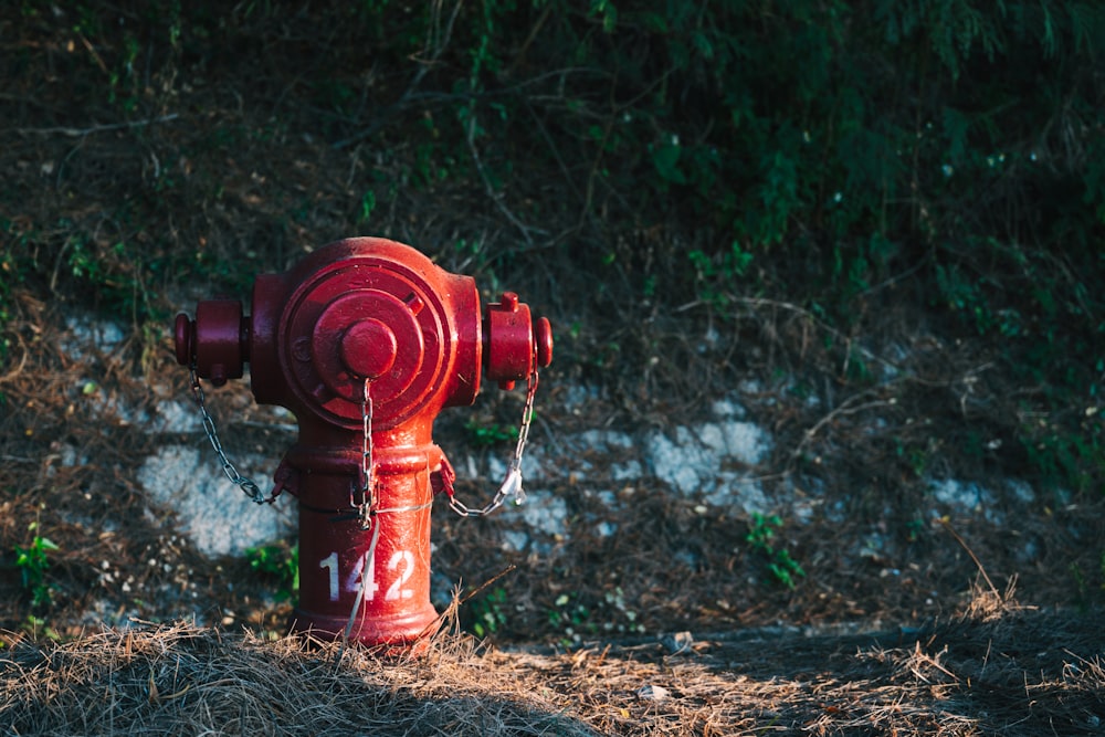 a red fire hydrant sitting on the side of a road