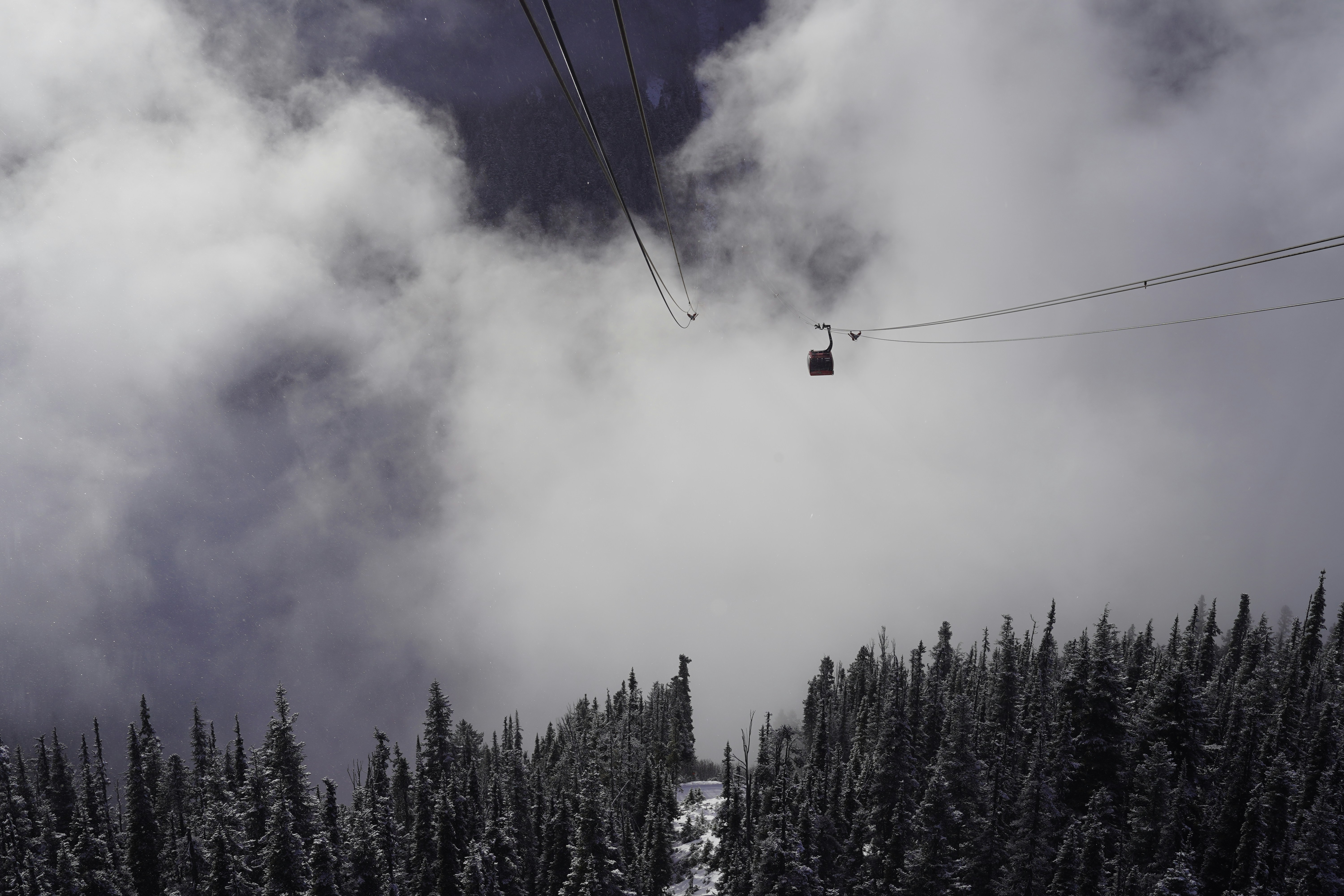 Photo by roshanrajx64