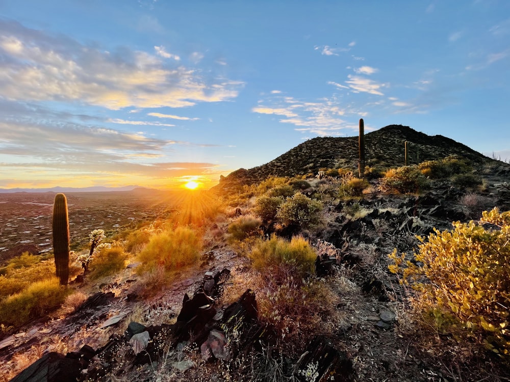 the sun is setting over a mountain with a cactus in the foreground