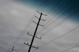 A series of power lines run diagonally across the image, supported by a wooden utility pole. The sky in the background is overcast with a gradient of gray and a hint of blue, suggesting an approaching storm or cloudy day.