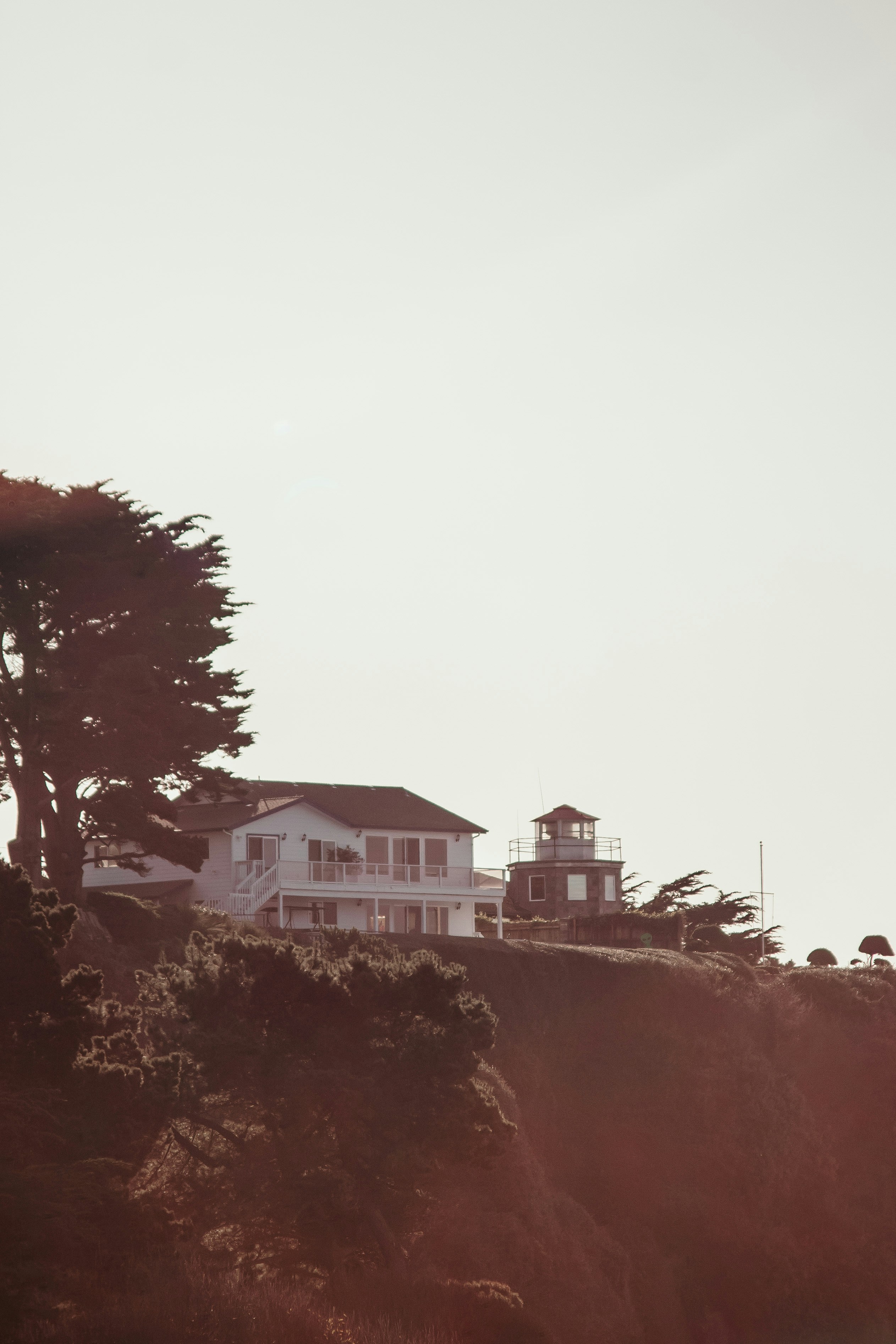 Photo by zachlez