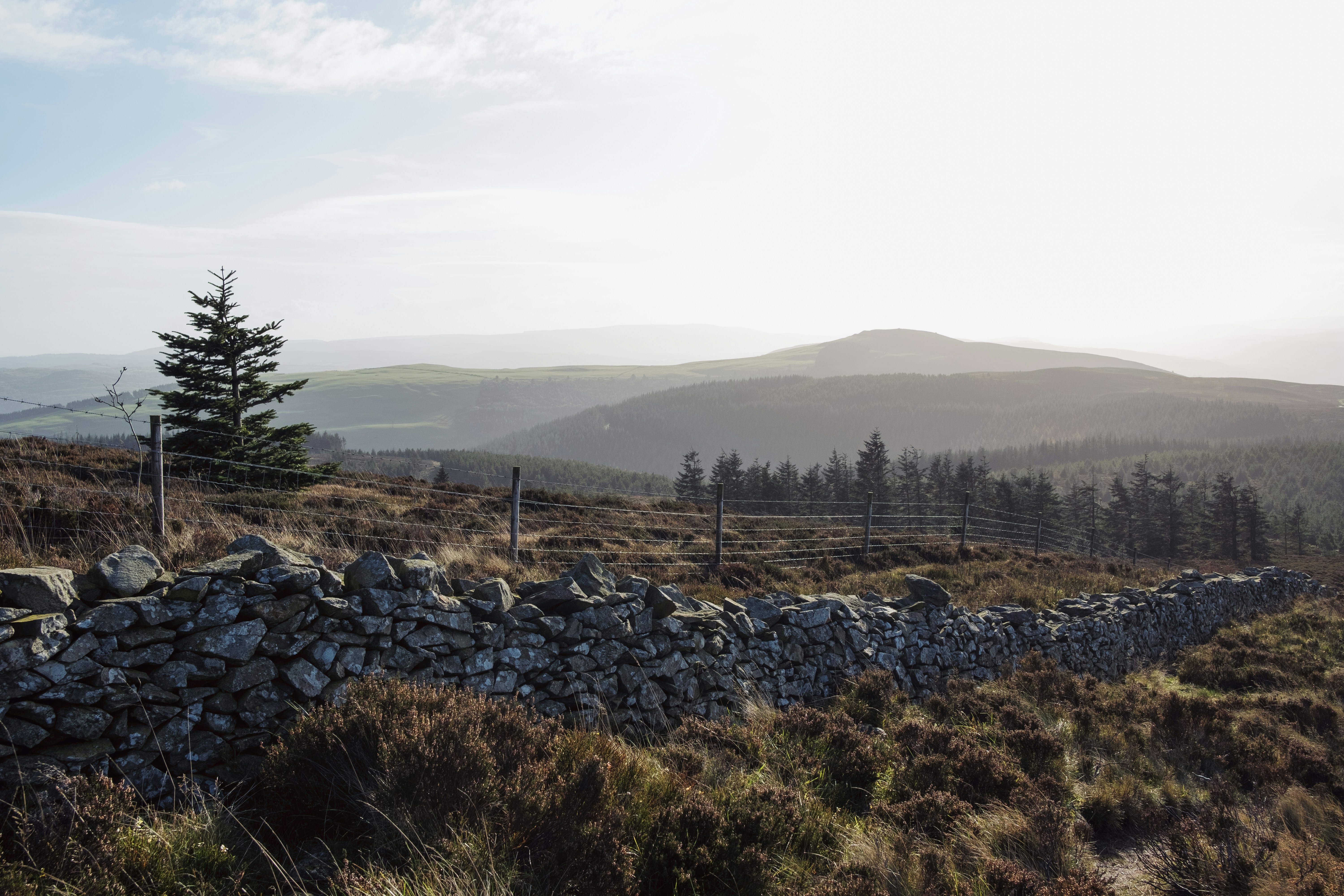 Mold and Mildew Removal