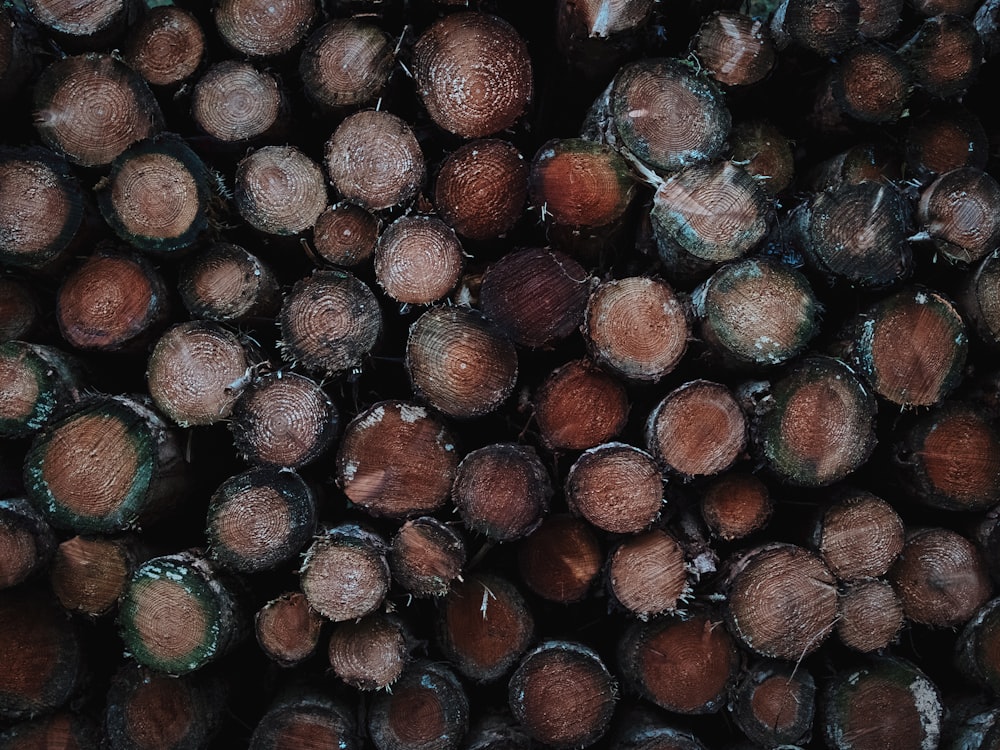 a close up of a pile of wood logs