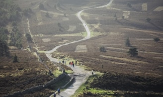 a group of people walking down a dirt road