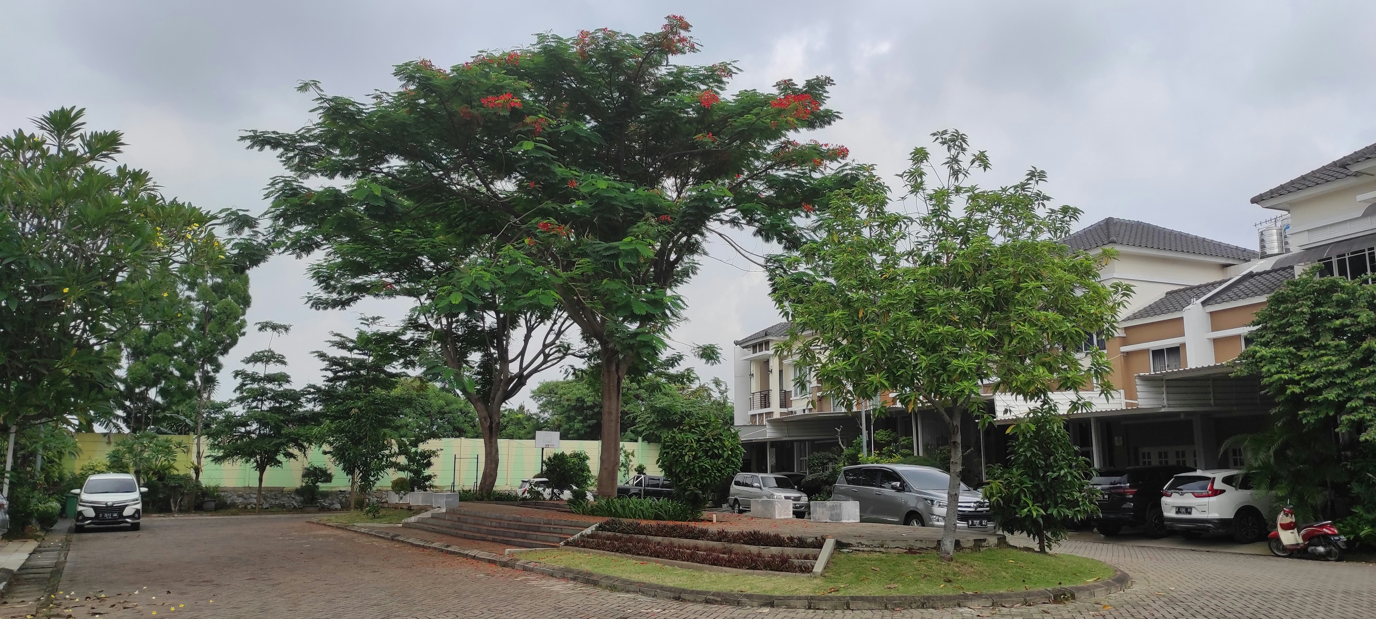 Terrenos y casas en preventa
