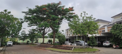 A residential area featuring several modern houses with sloped roofs. The area is landscaped with large, leafy trees, including one with red flowers near the center. Cars are parked in driveways, and the street is paved with bricks, curving along the front of the properties.