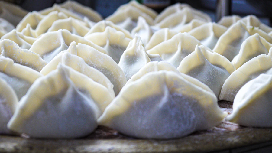 Vegetable Dumplings – 600 g