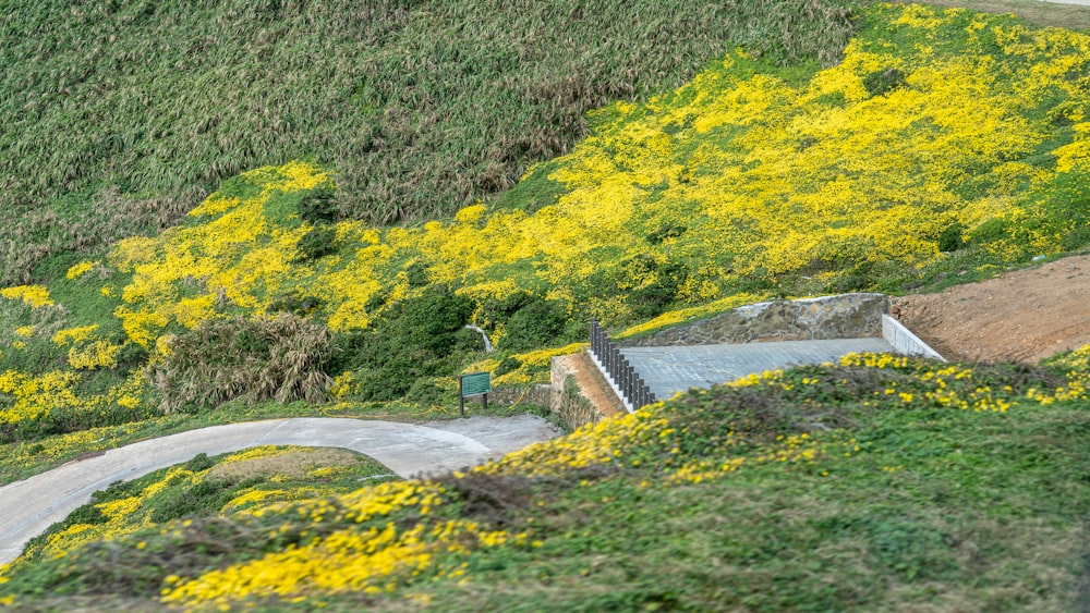 uma estrada sinuosa com flores amarelas ao lado dela