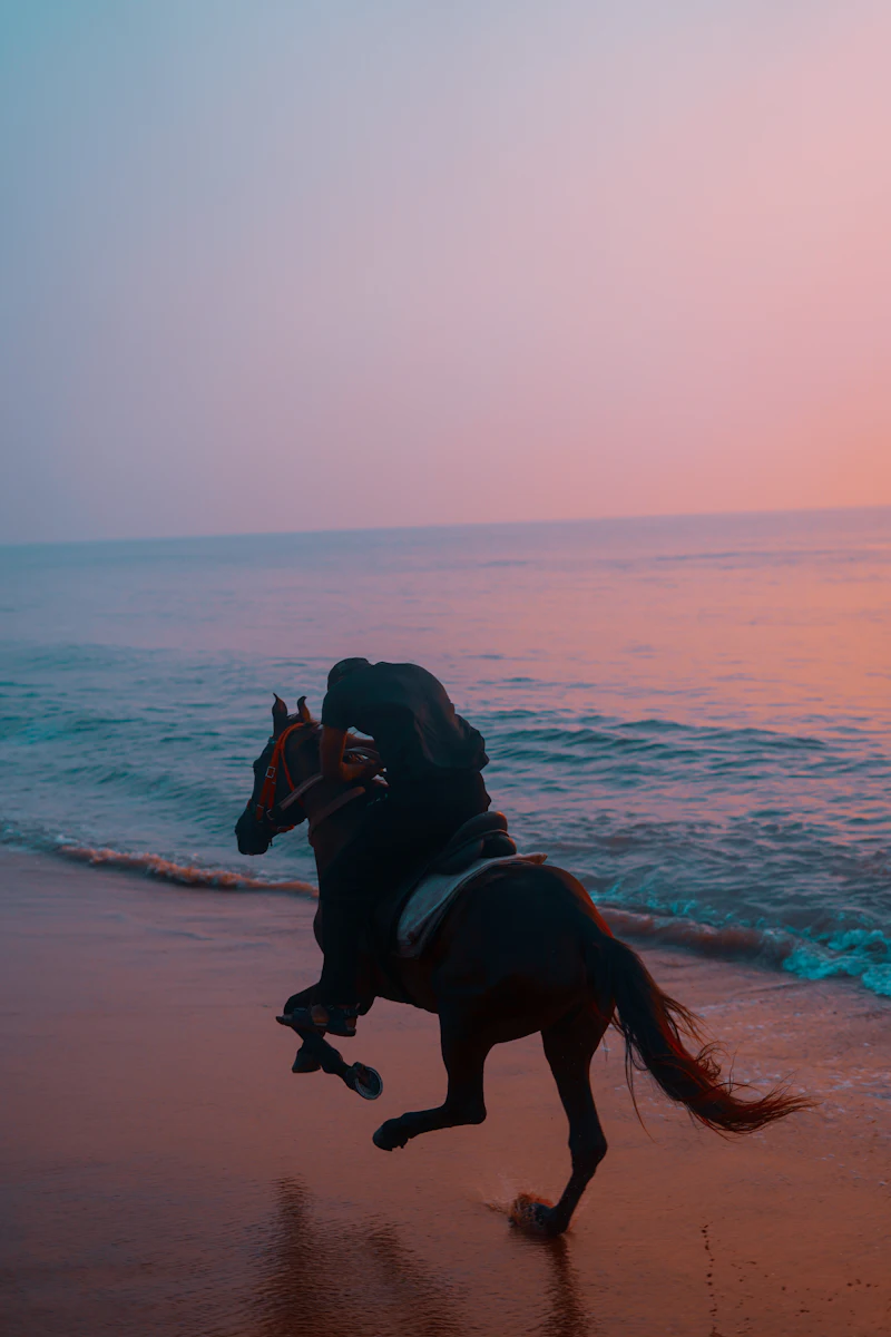 Person riding a horse on a beach