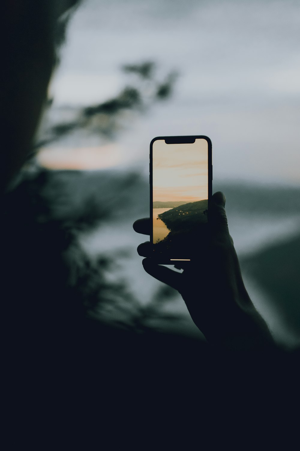 a person holding a cell phone in their hand