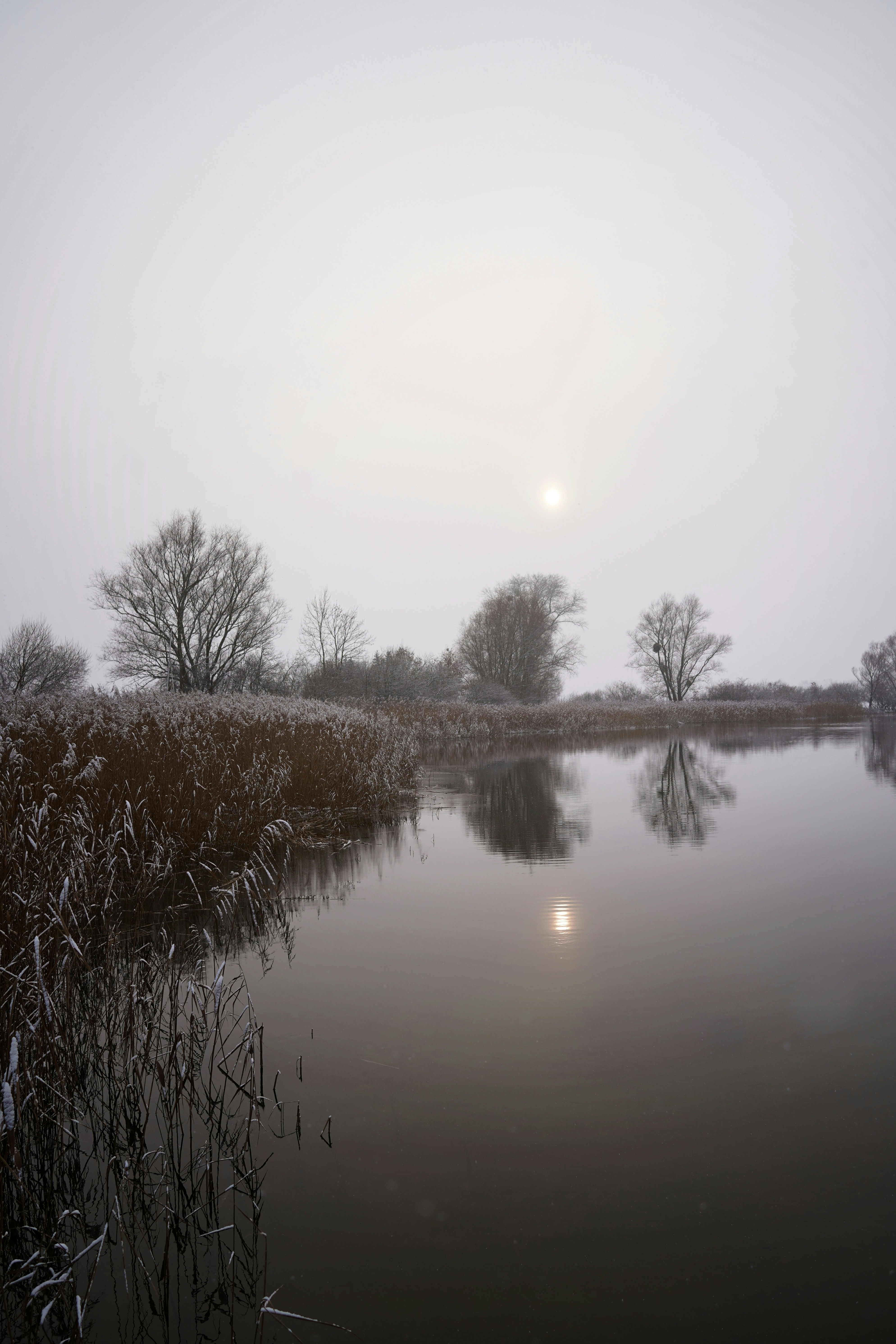 Photo by danielschuh