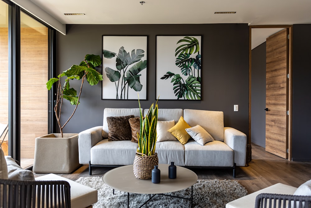 a living room filled with furniture and a potted plant