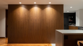 A modern interior space featuring a large wooden wall panel illuminated by recessed ceiling lights. The area includes a kitchen counter on the right with visible modern appliances and shelves with books and kitchen items. The flooring is wooden with a warm tone.