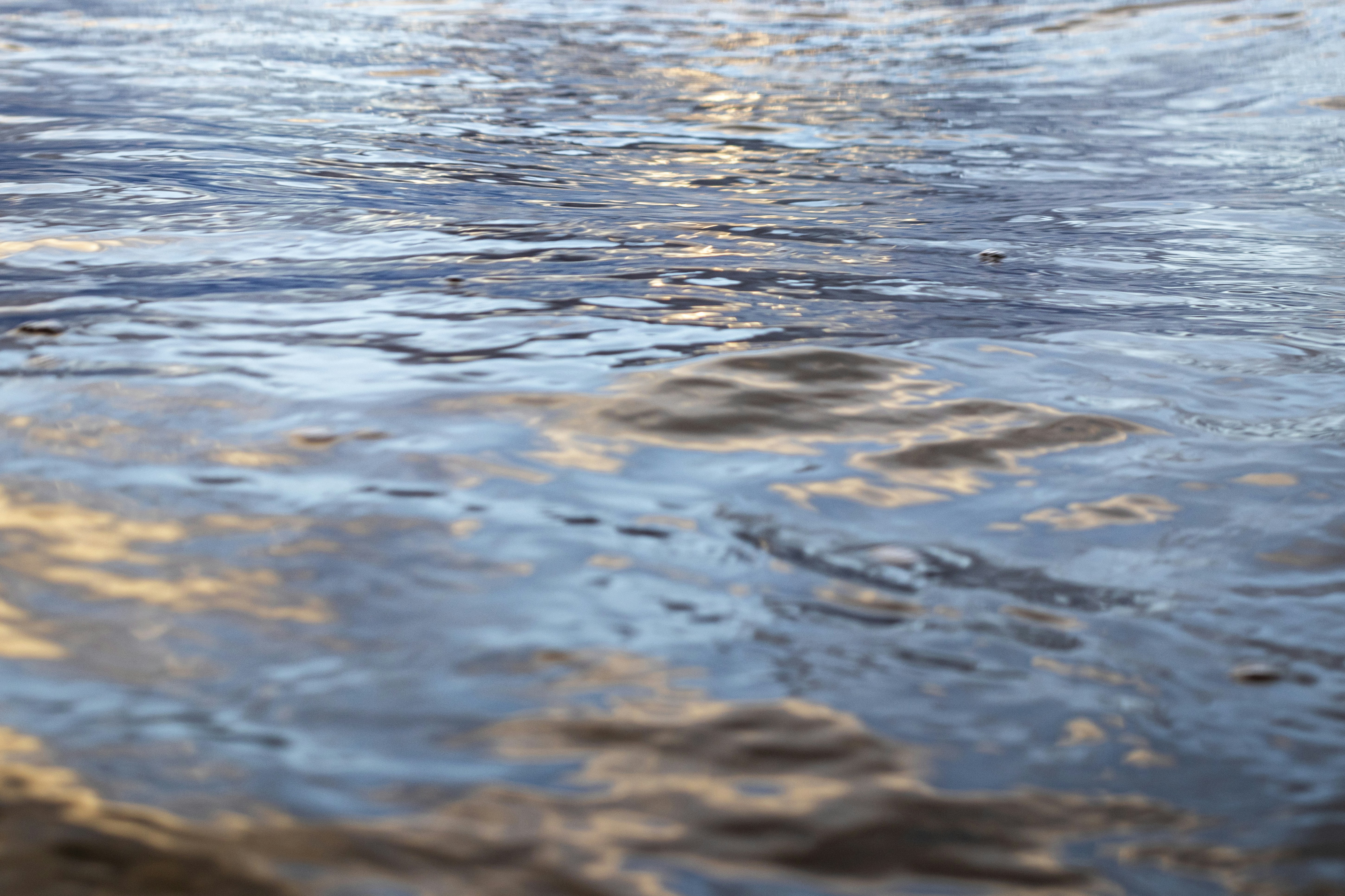 Photo by leeuwenvanfrank