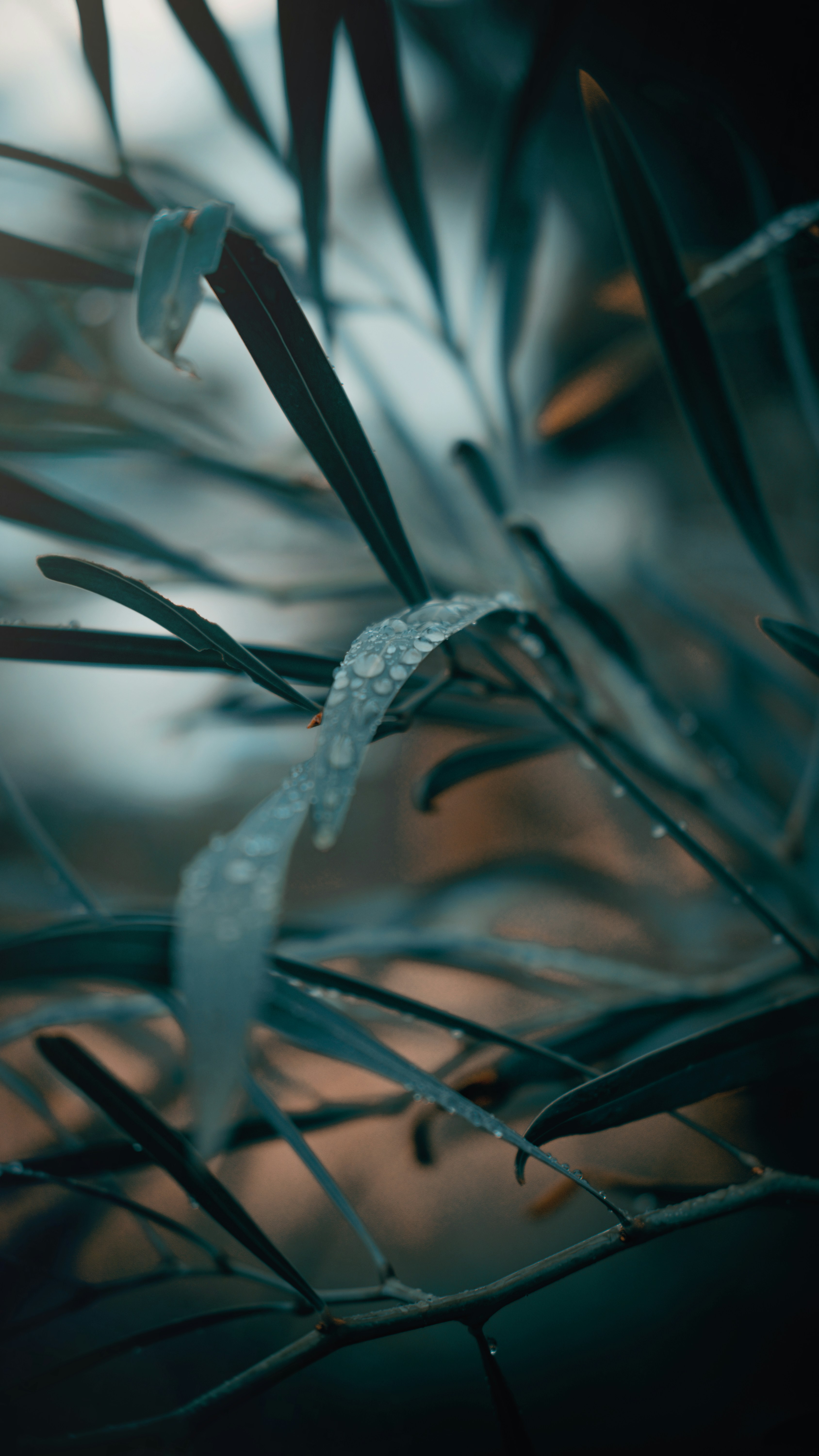 Photo by louaikheloufi