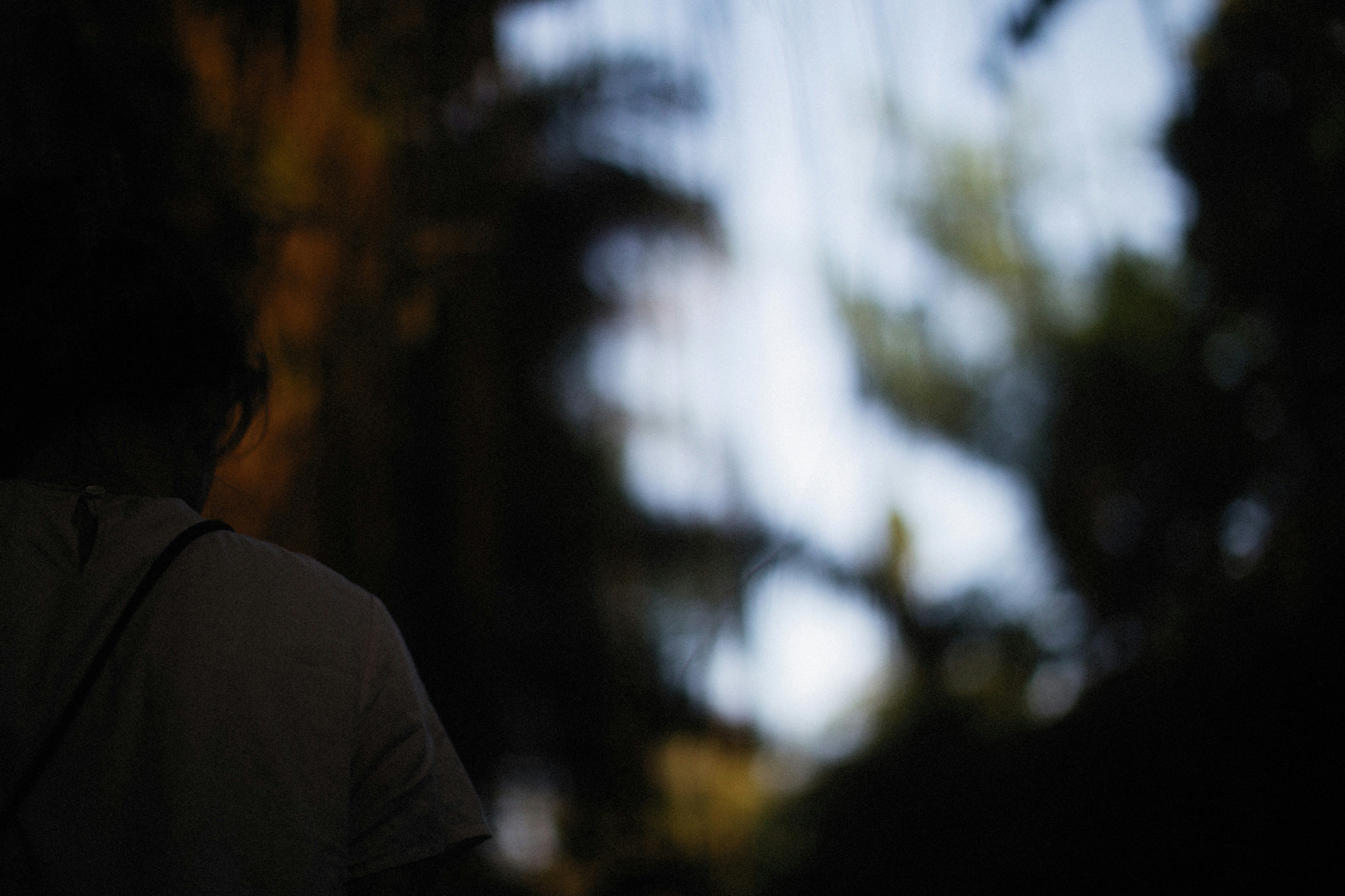 Photo by alexeydemidov